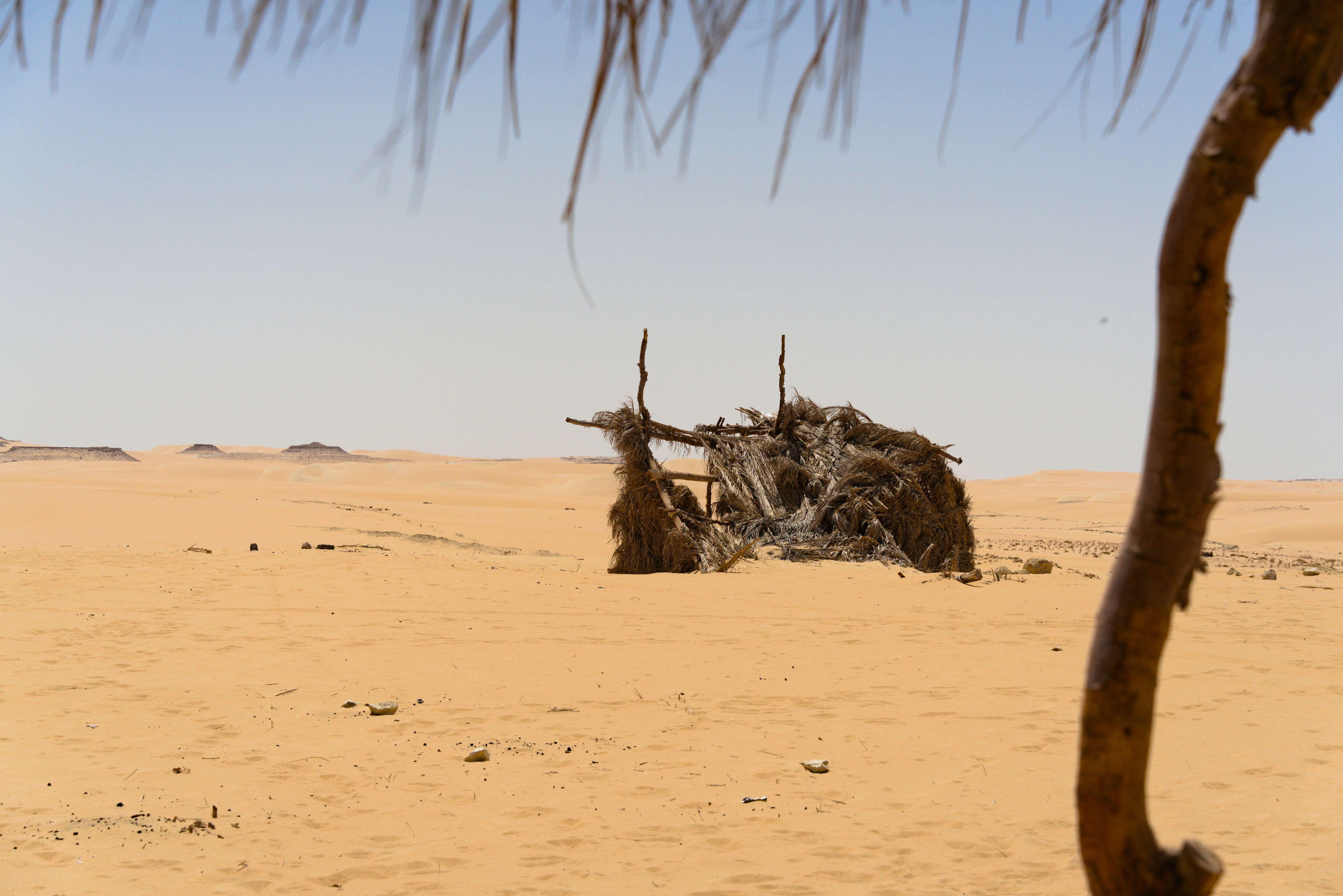 War in the Middle East: latest developments