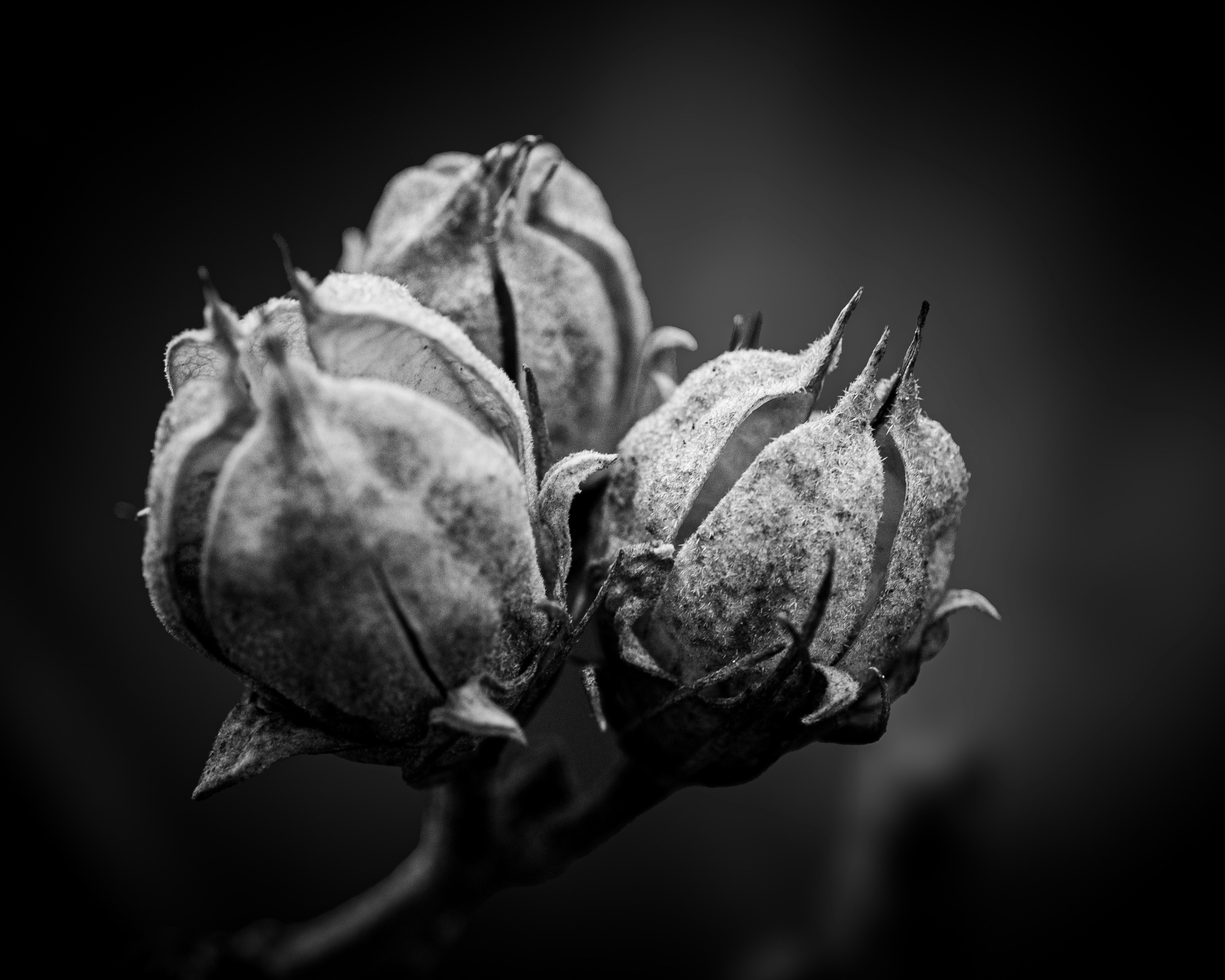 Photo by thewonderingvlad