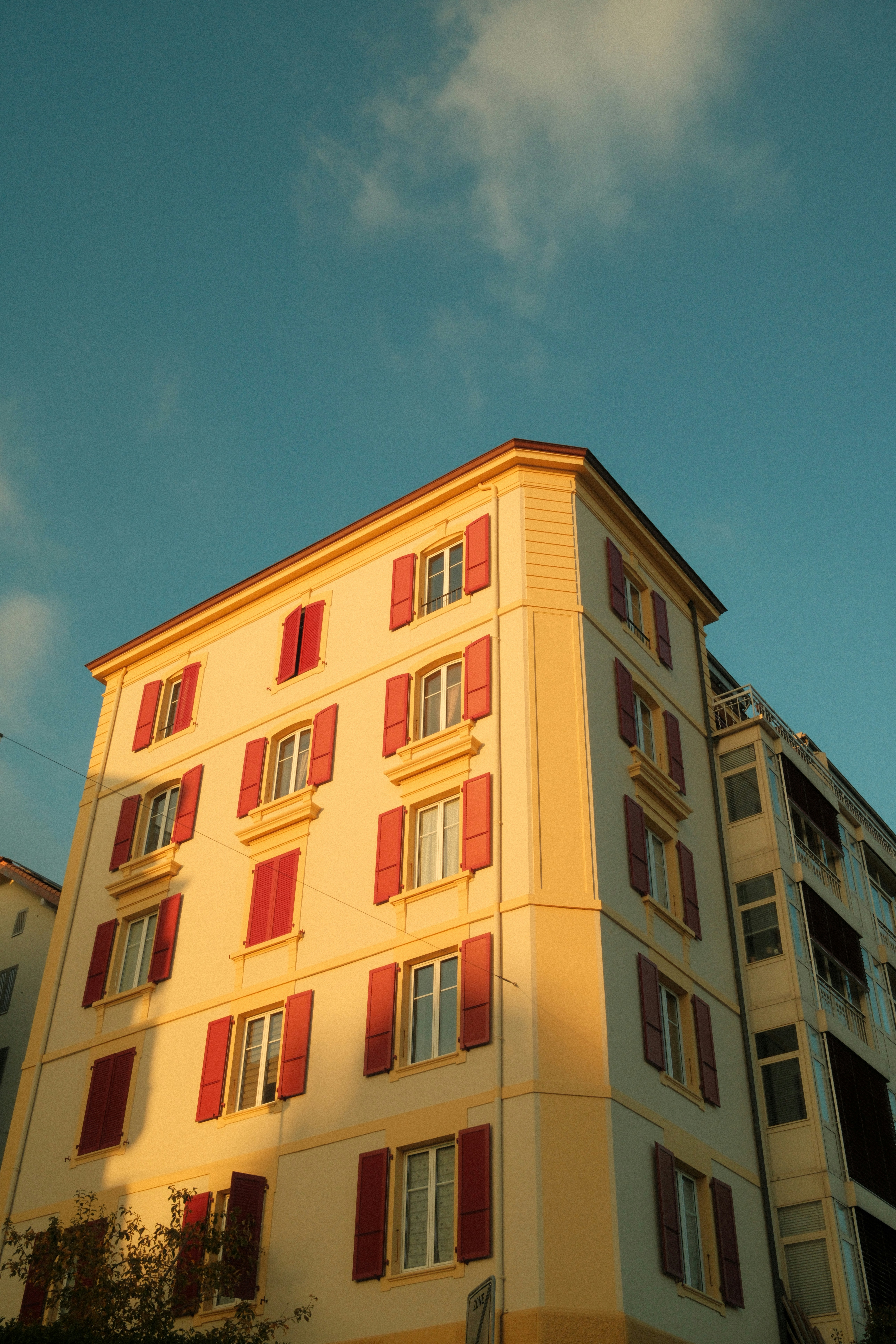 Photo by thechilloutcat