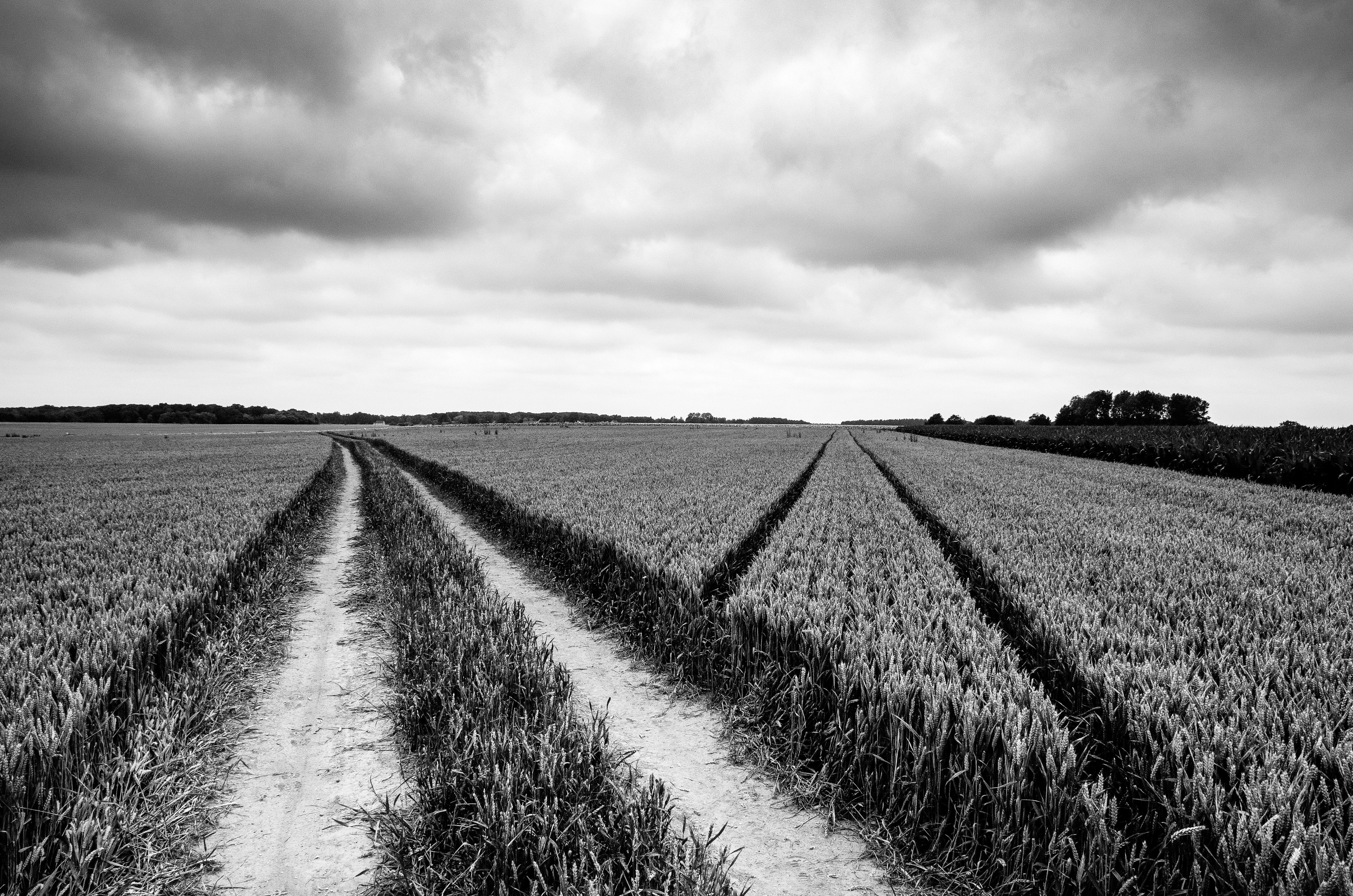 Photo by samson_photography