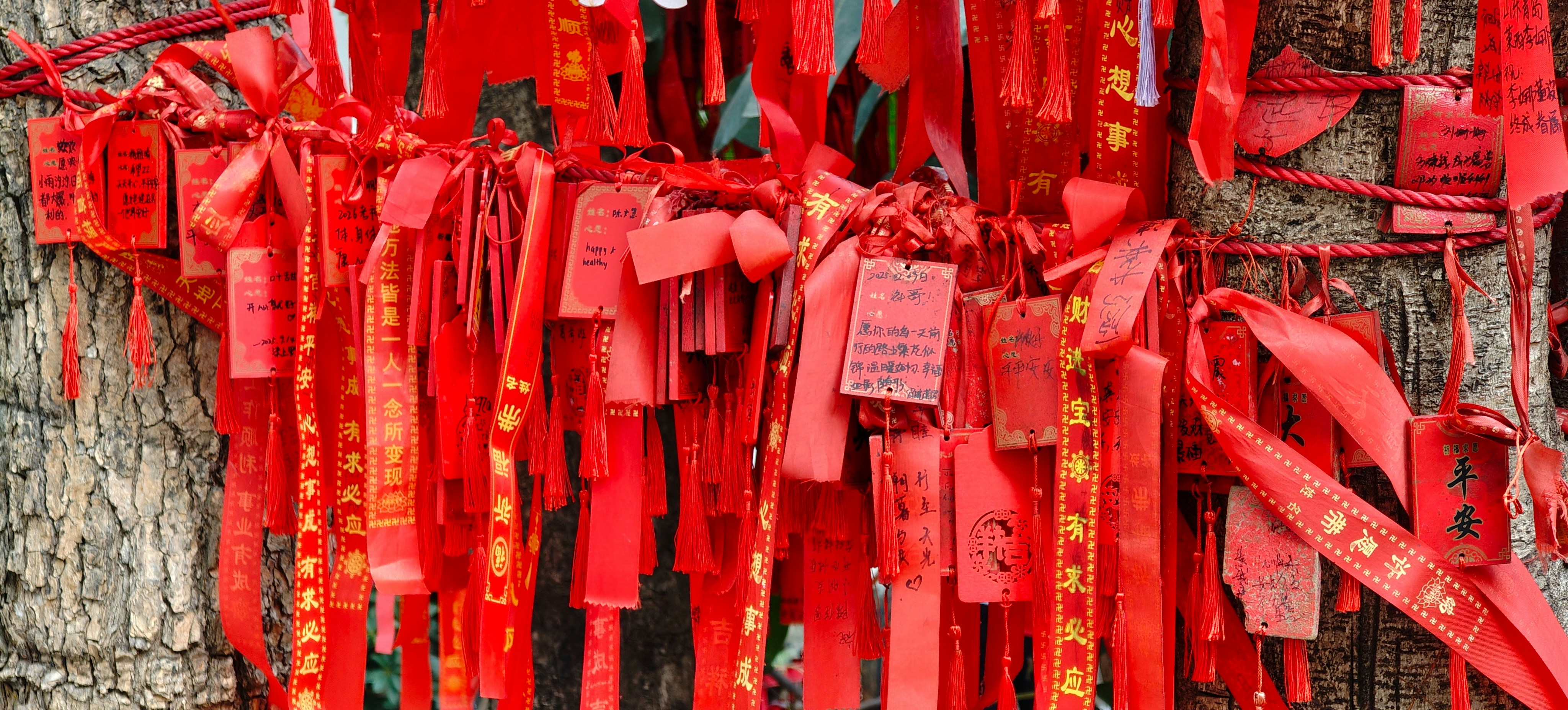 Photo by thomaskinto