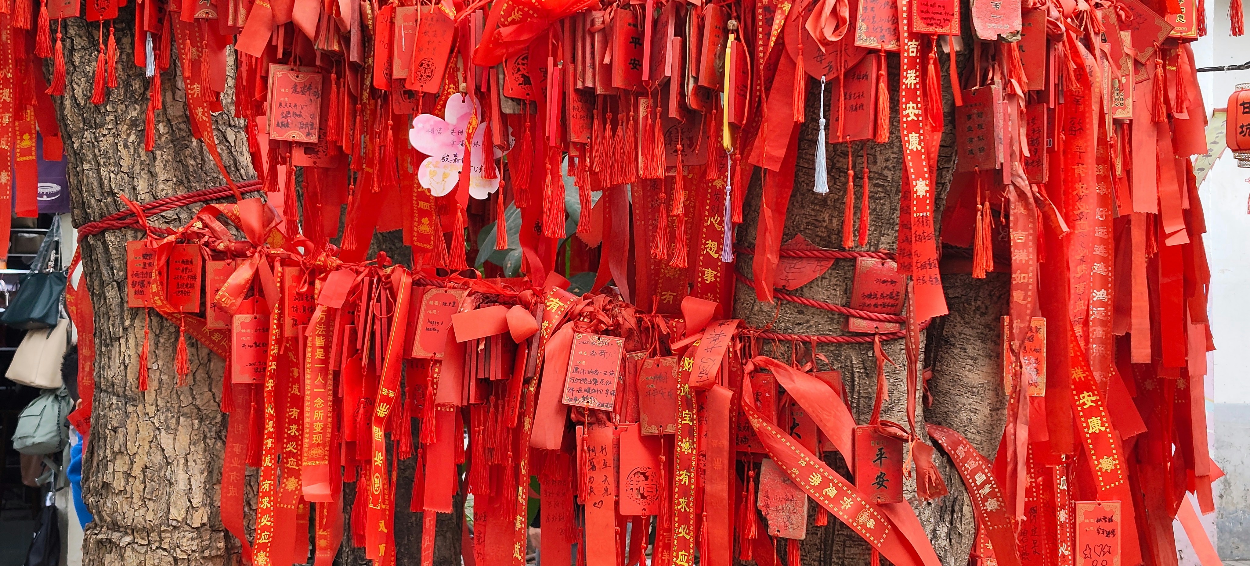 Photo by thomaskinto