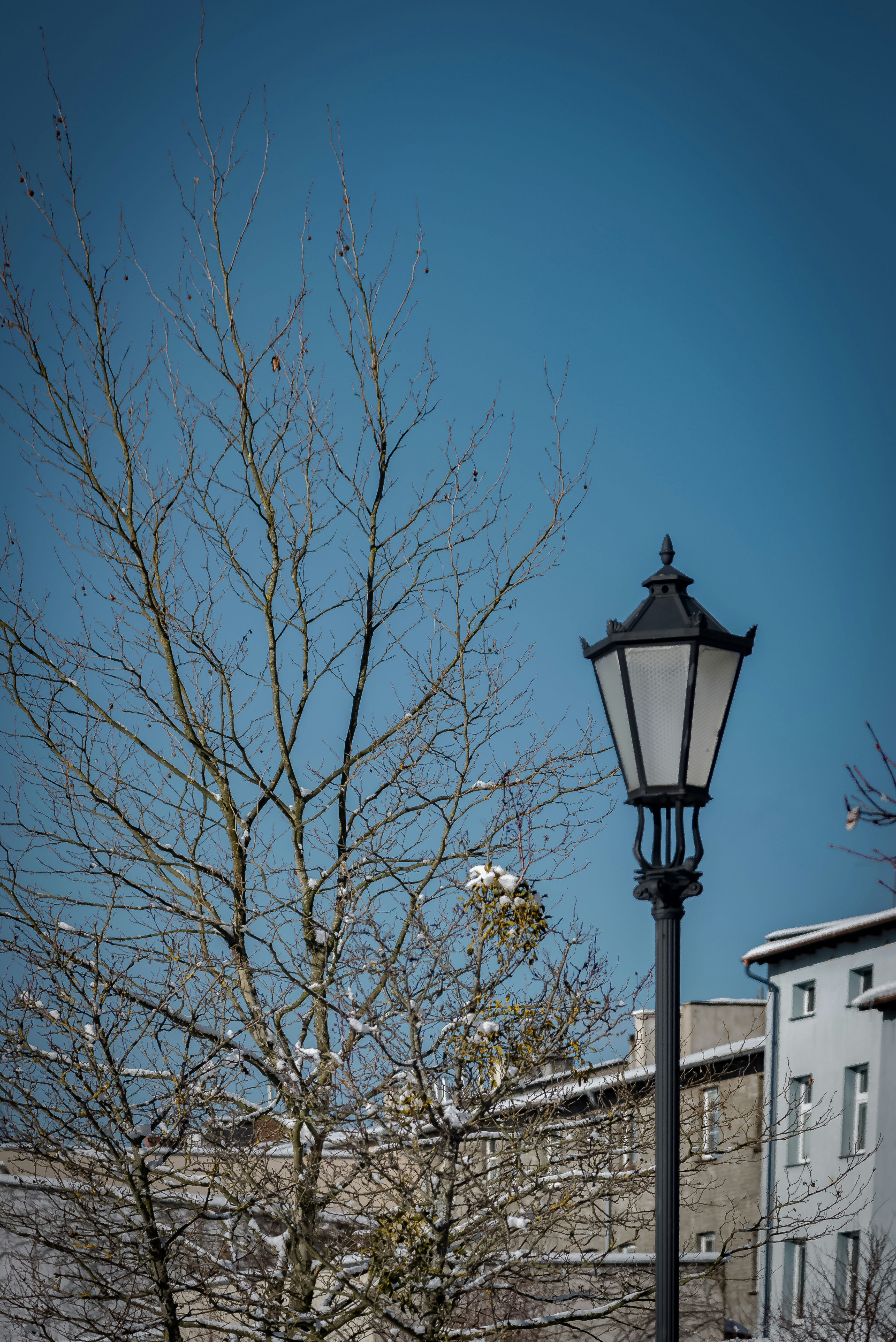 Photo by malwinanogaj