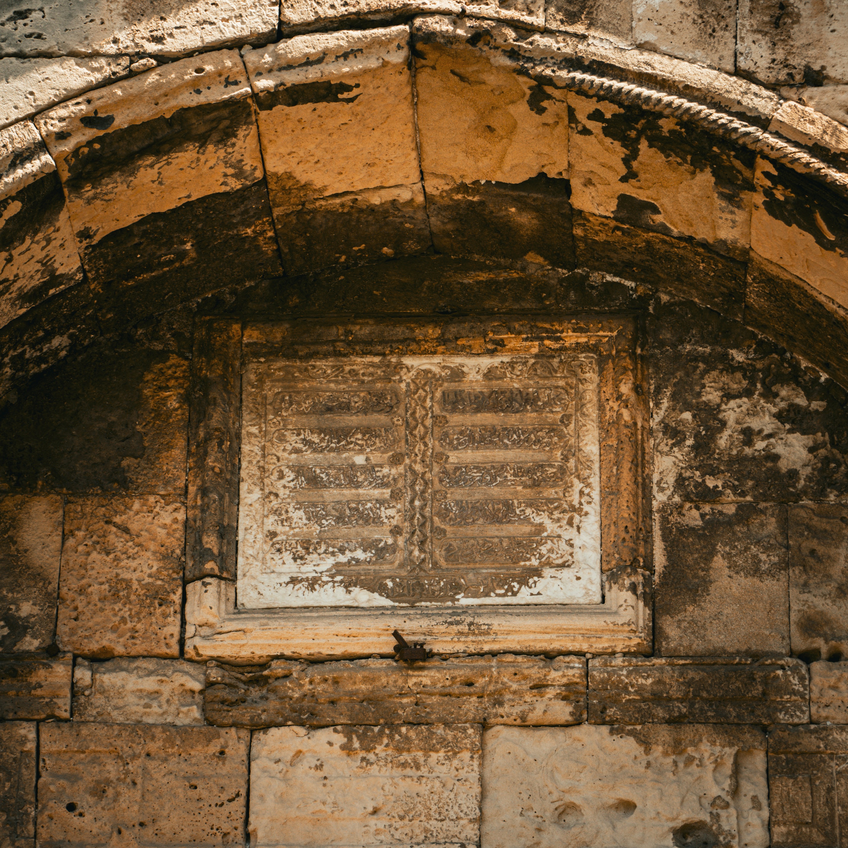 Photo by syawishrehman