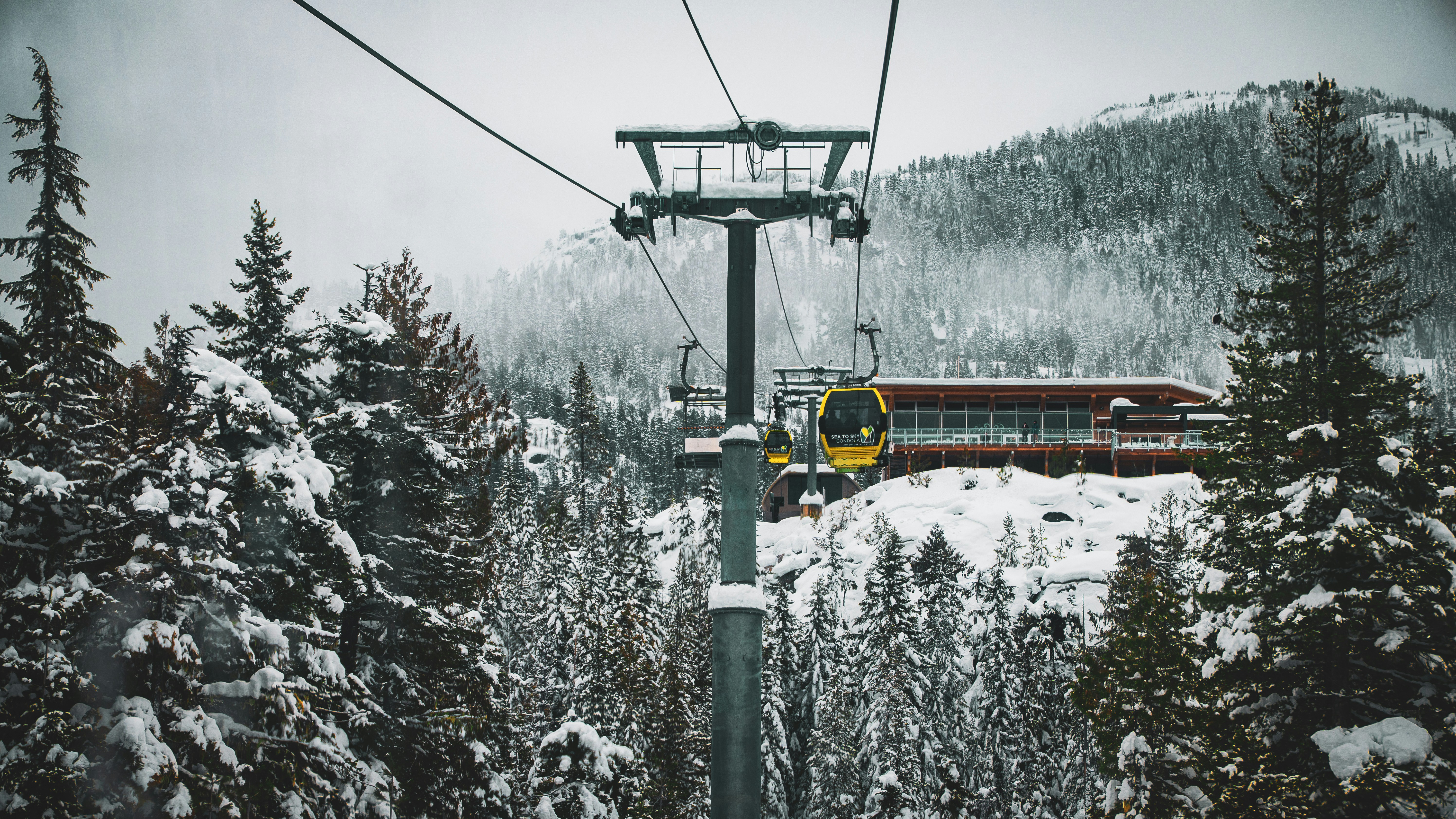 Photo by syawishrehman