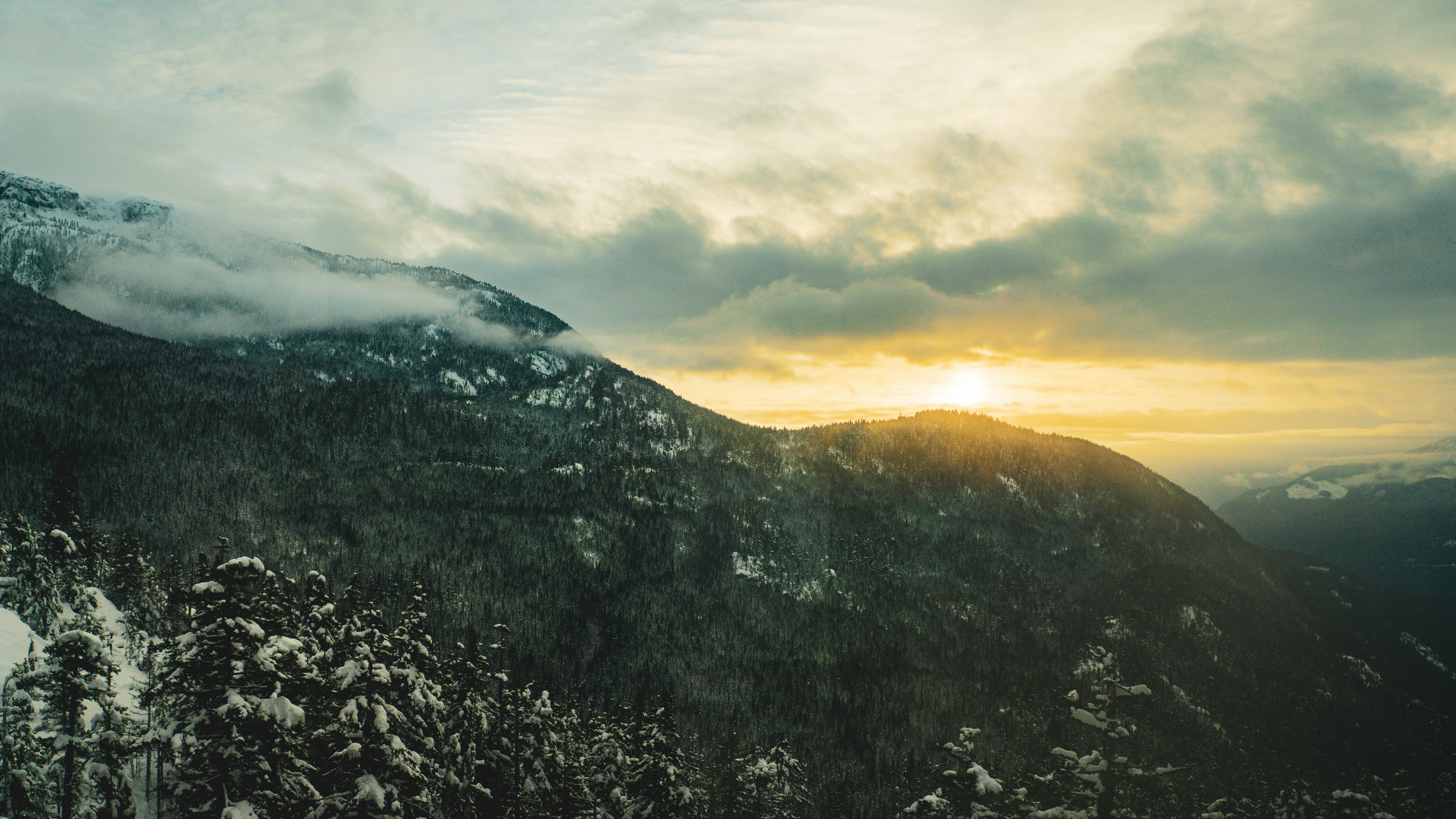 Photo by syawishrehman