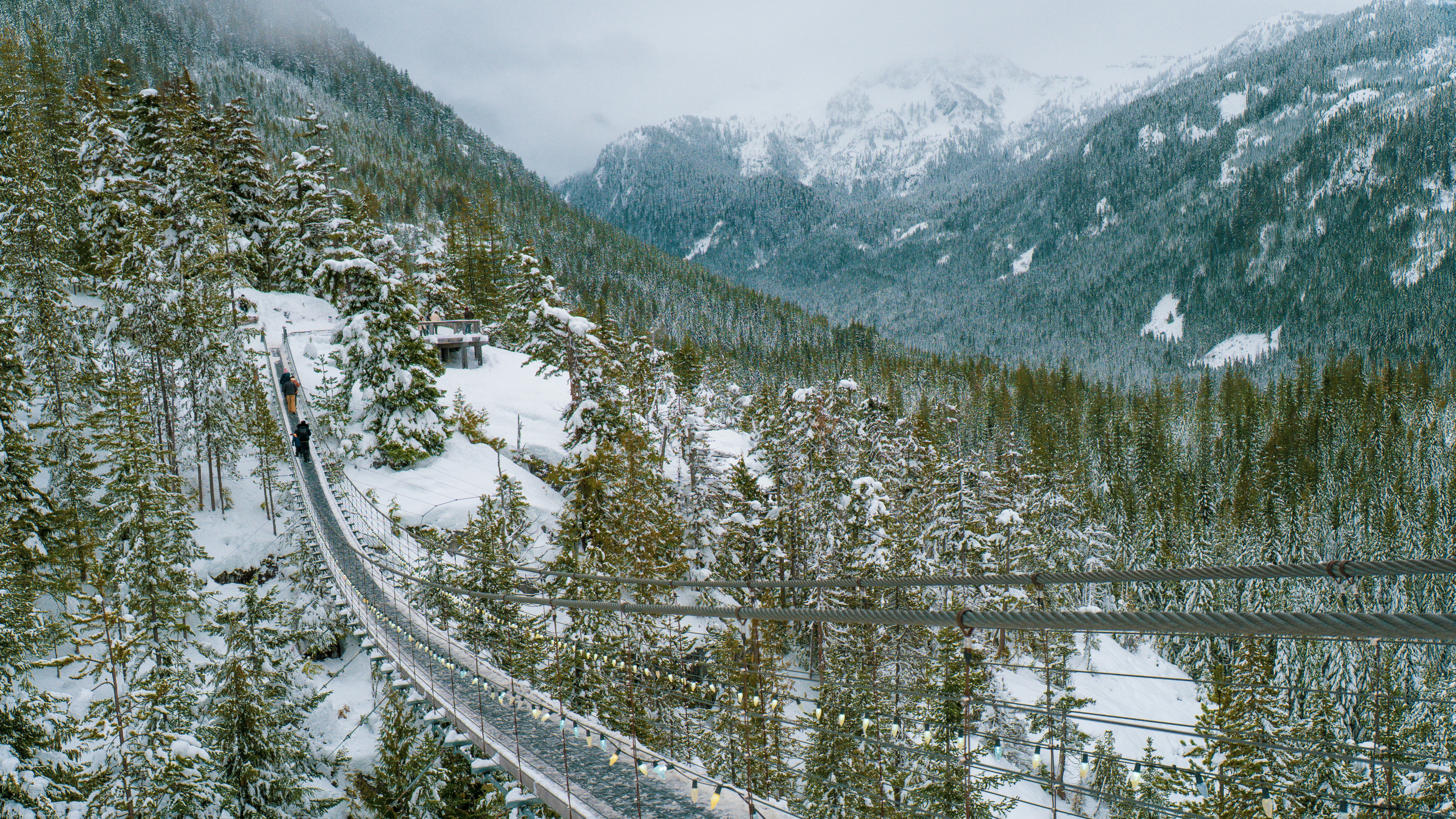 Photo by syawishrehman