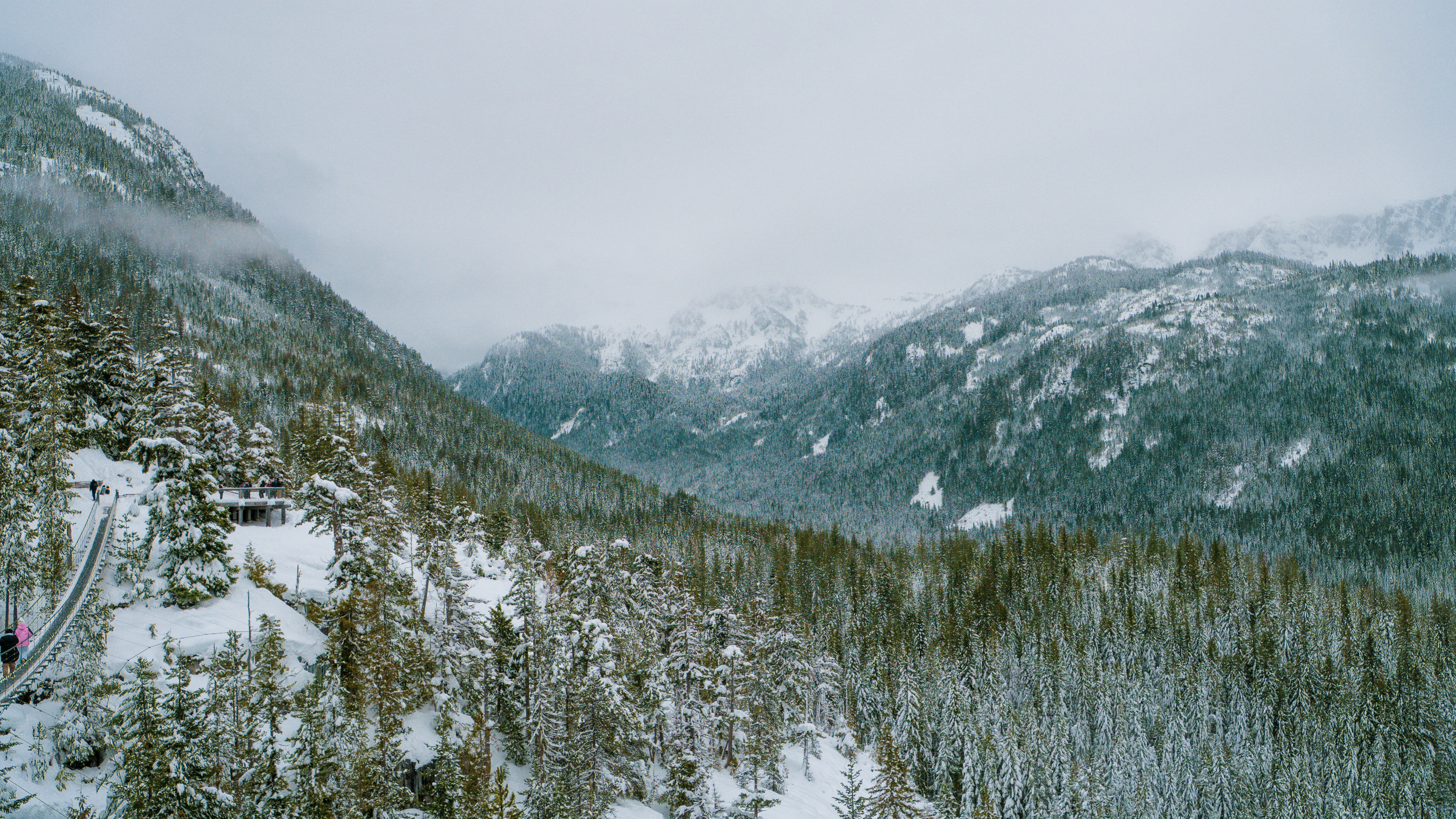 Photo by syawishrehman