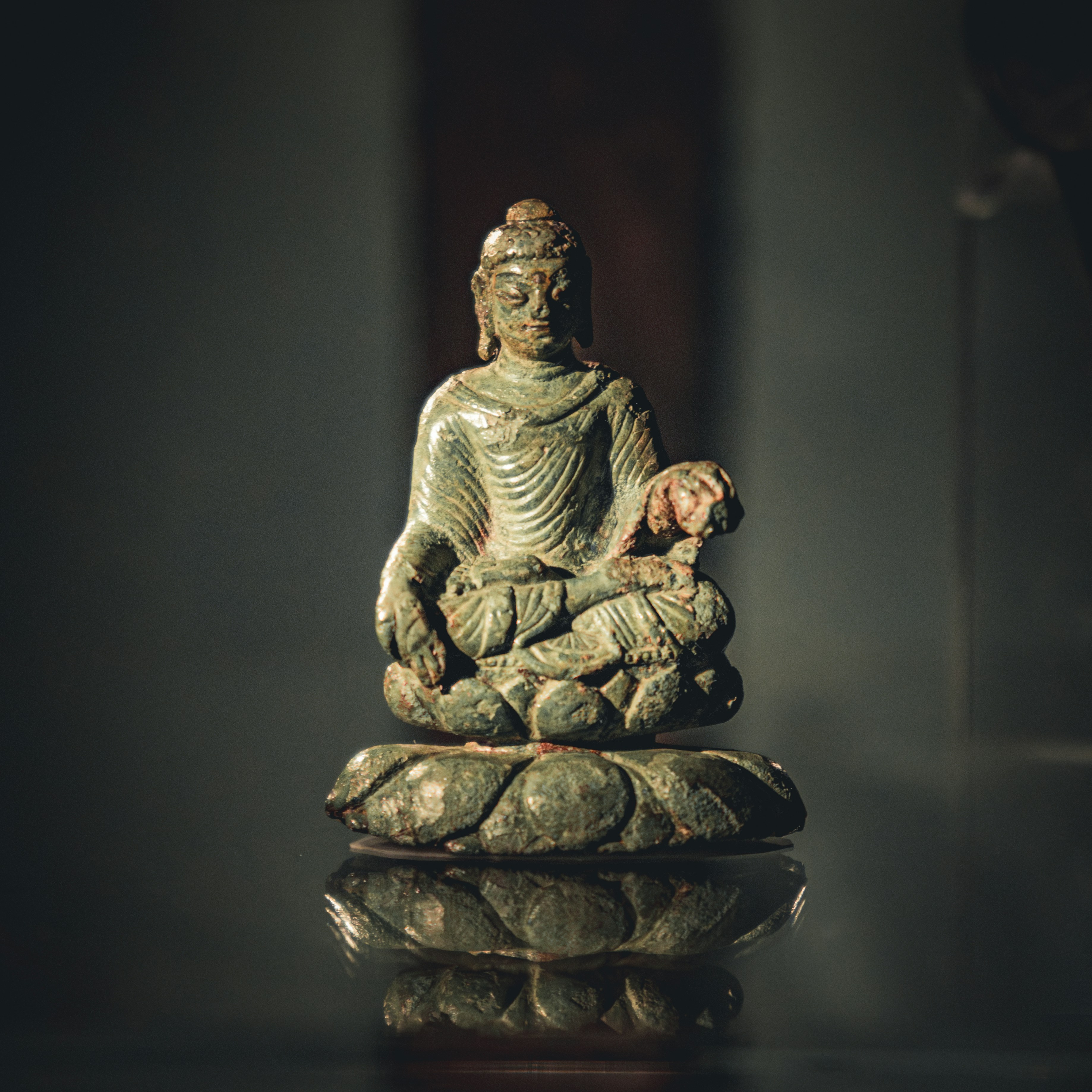 Photo by syawishrehman