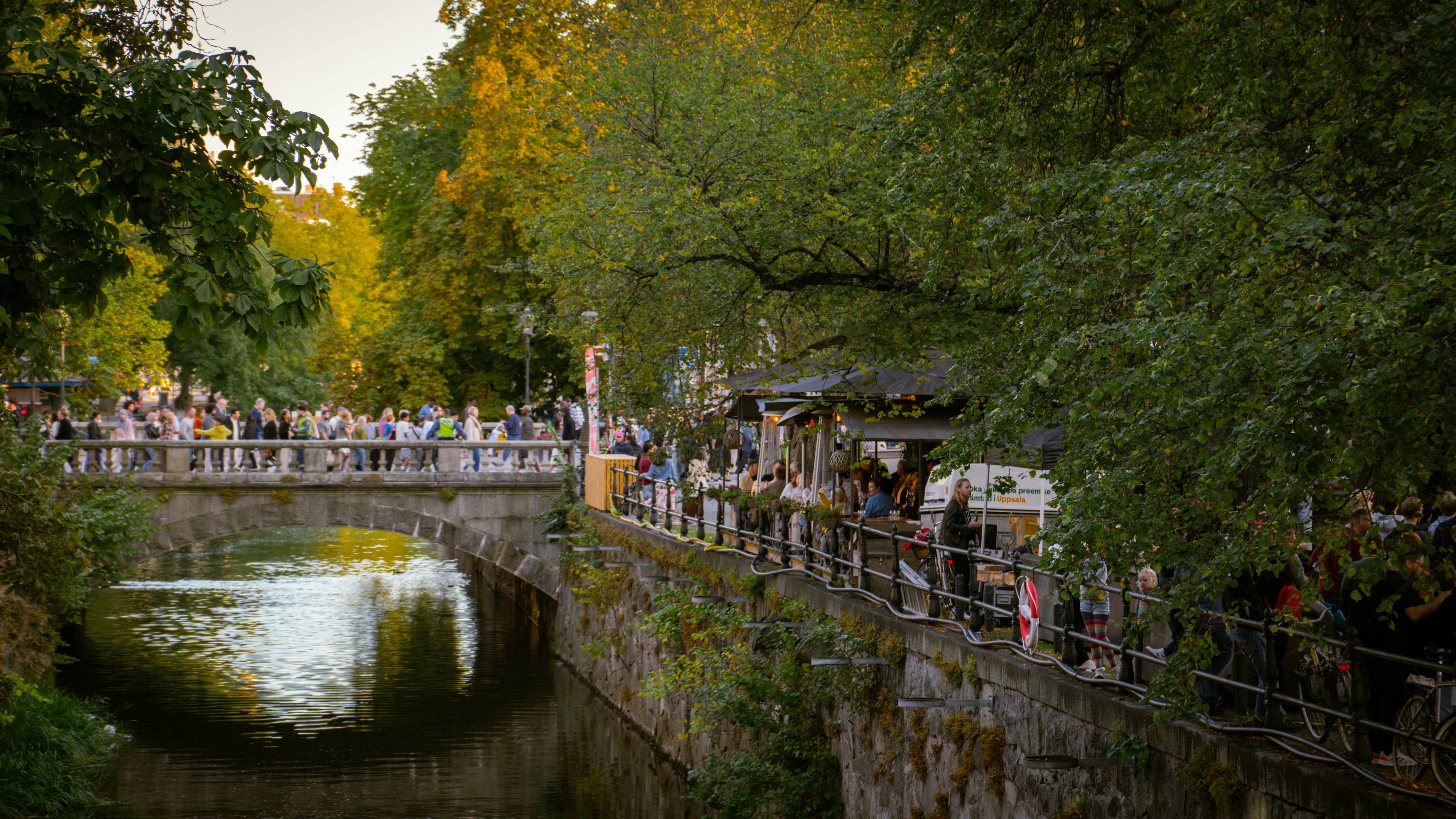 Photo by syawishrehman