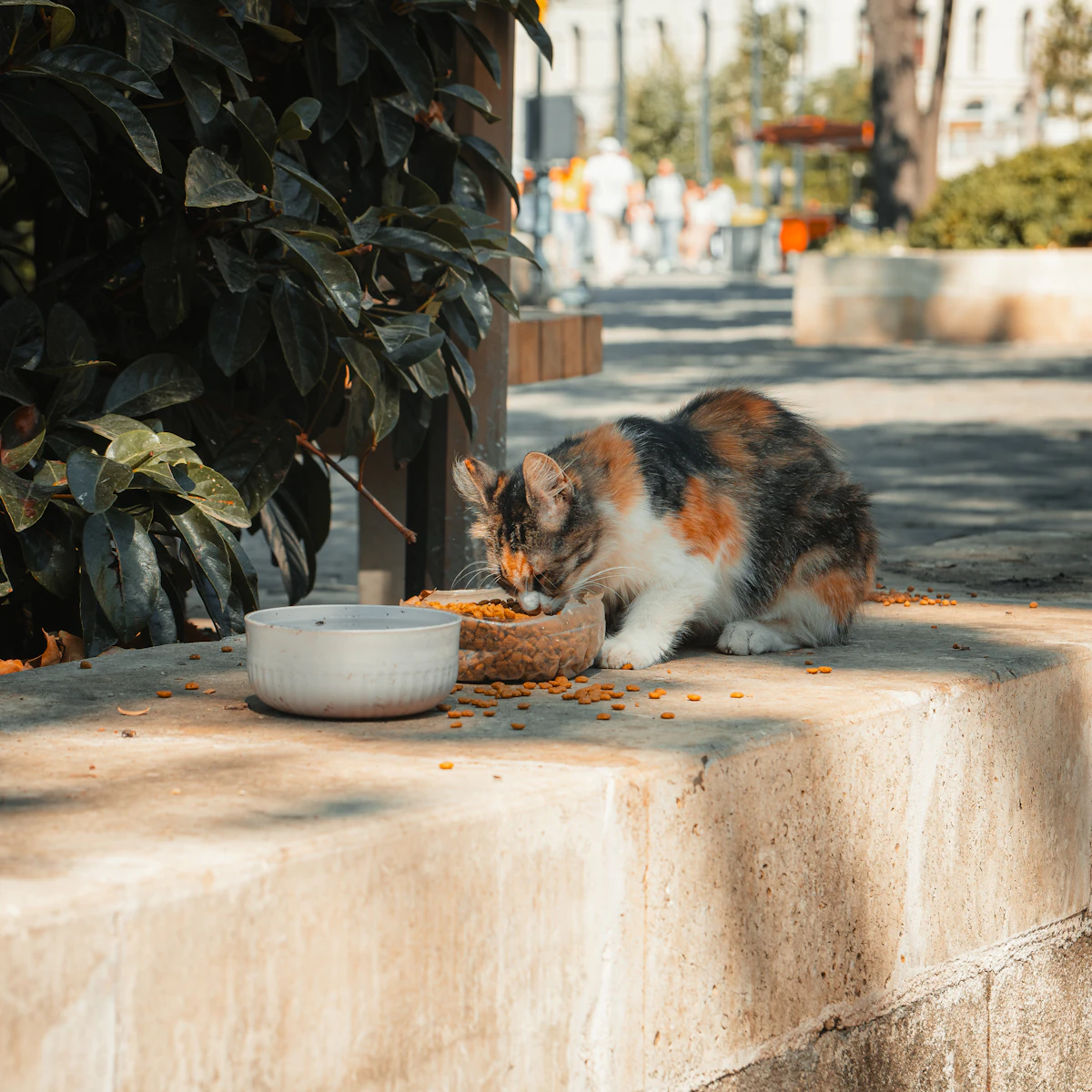 Comedero antivoracidad con laberinto para gato