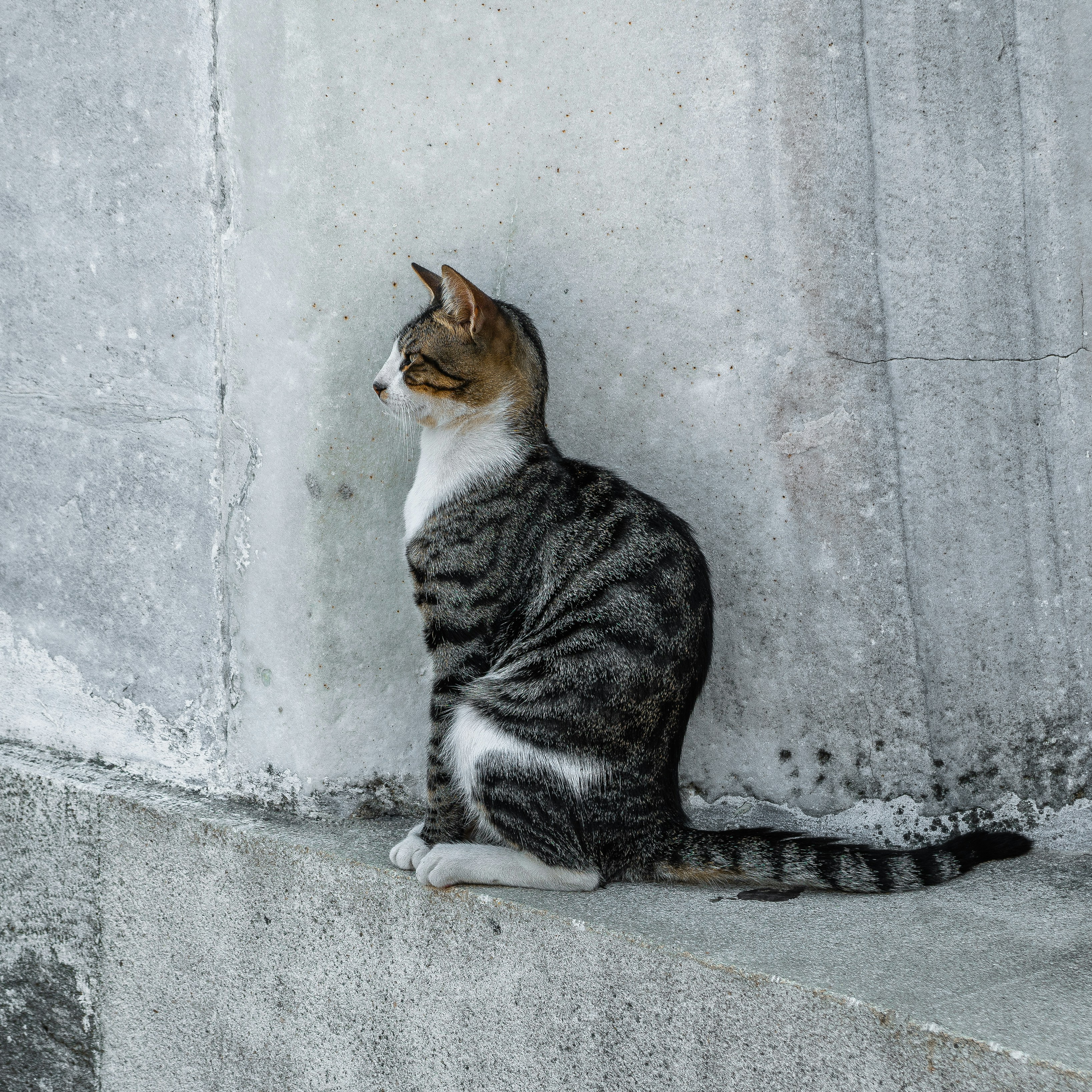 Photo by syawishrehman