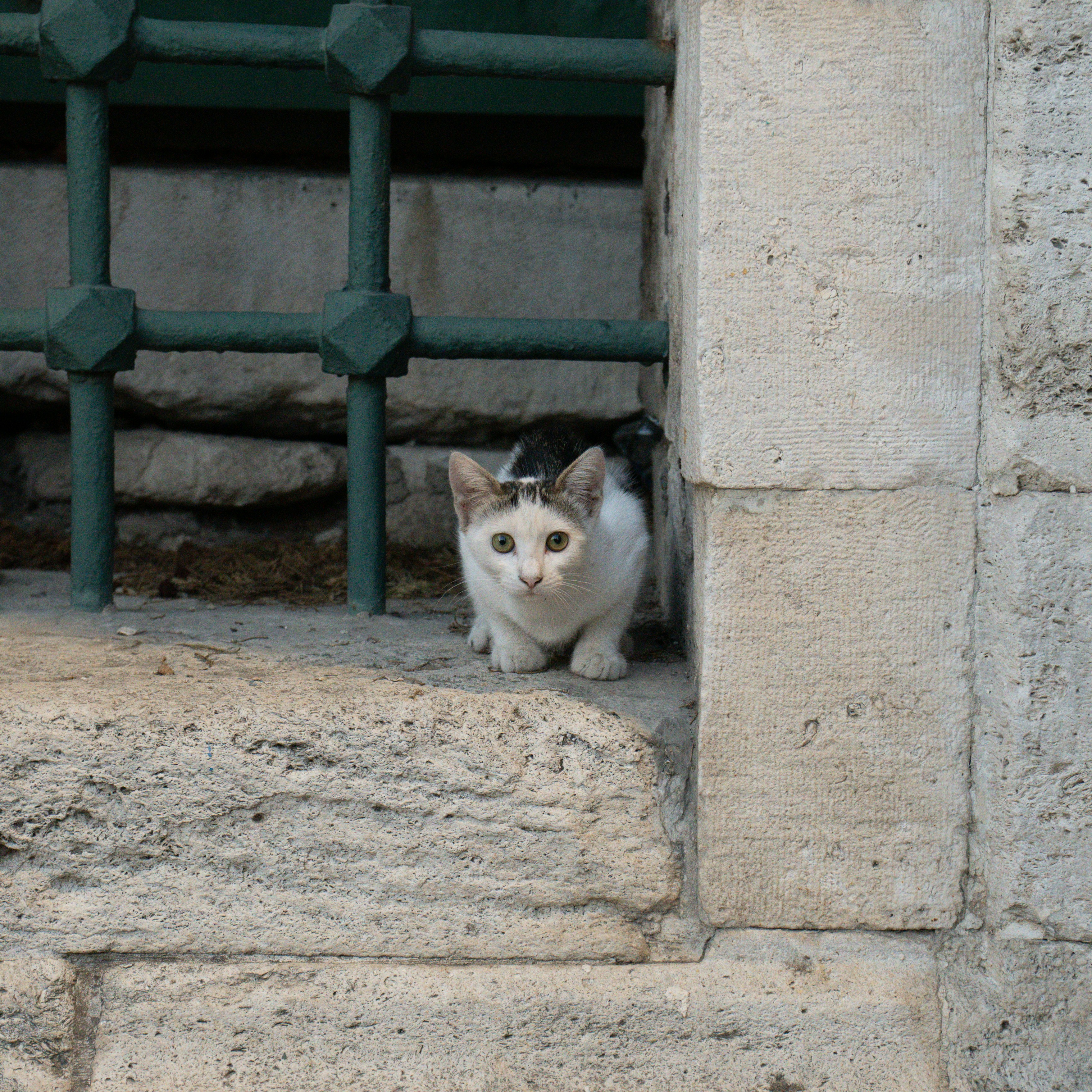 Photo by syawishrehman