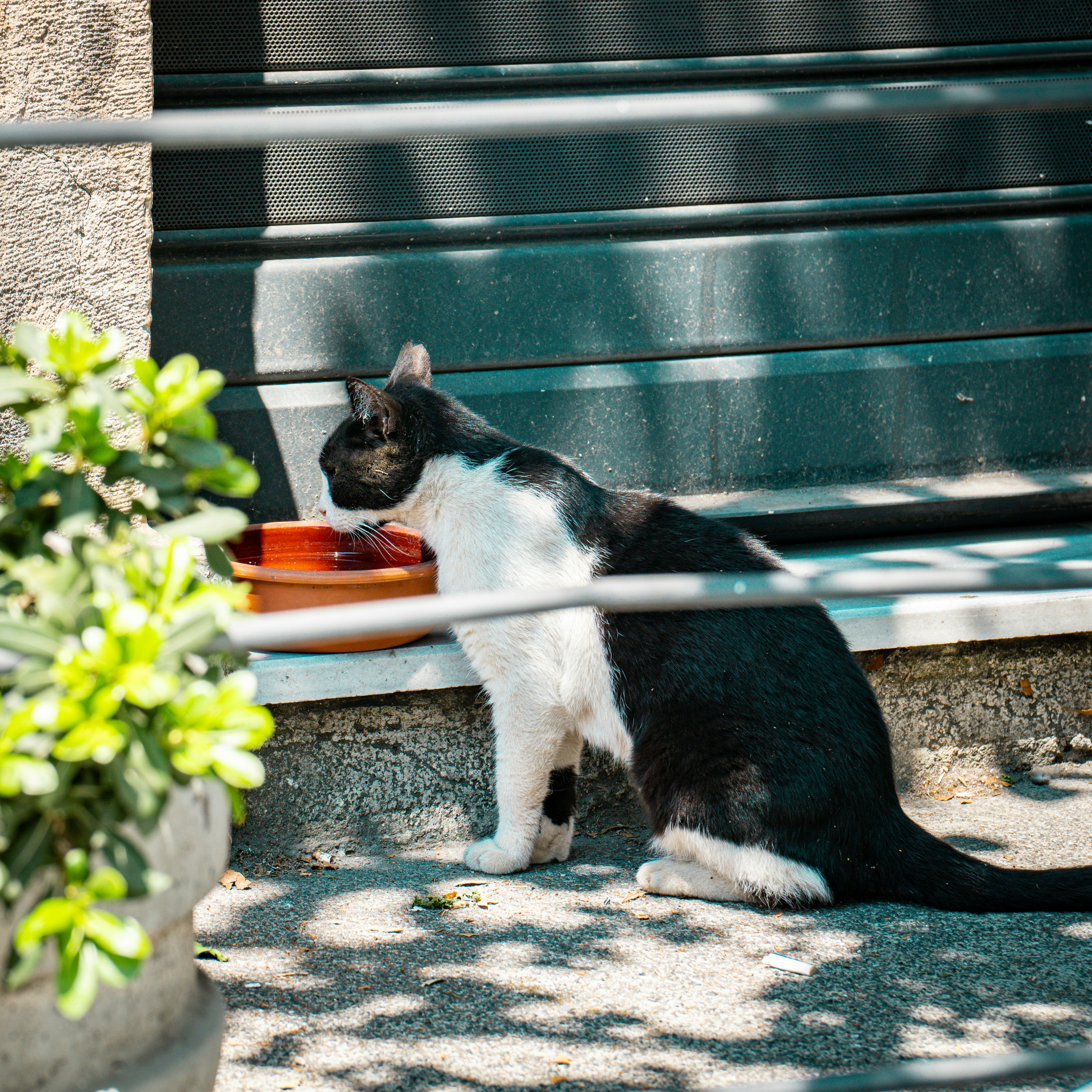 Photo by syawishrehman