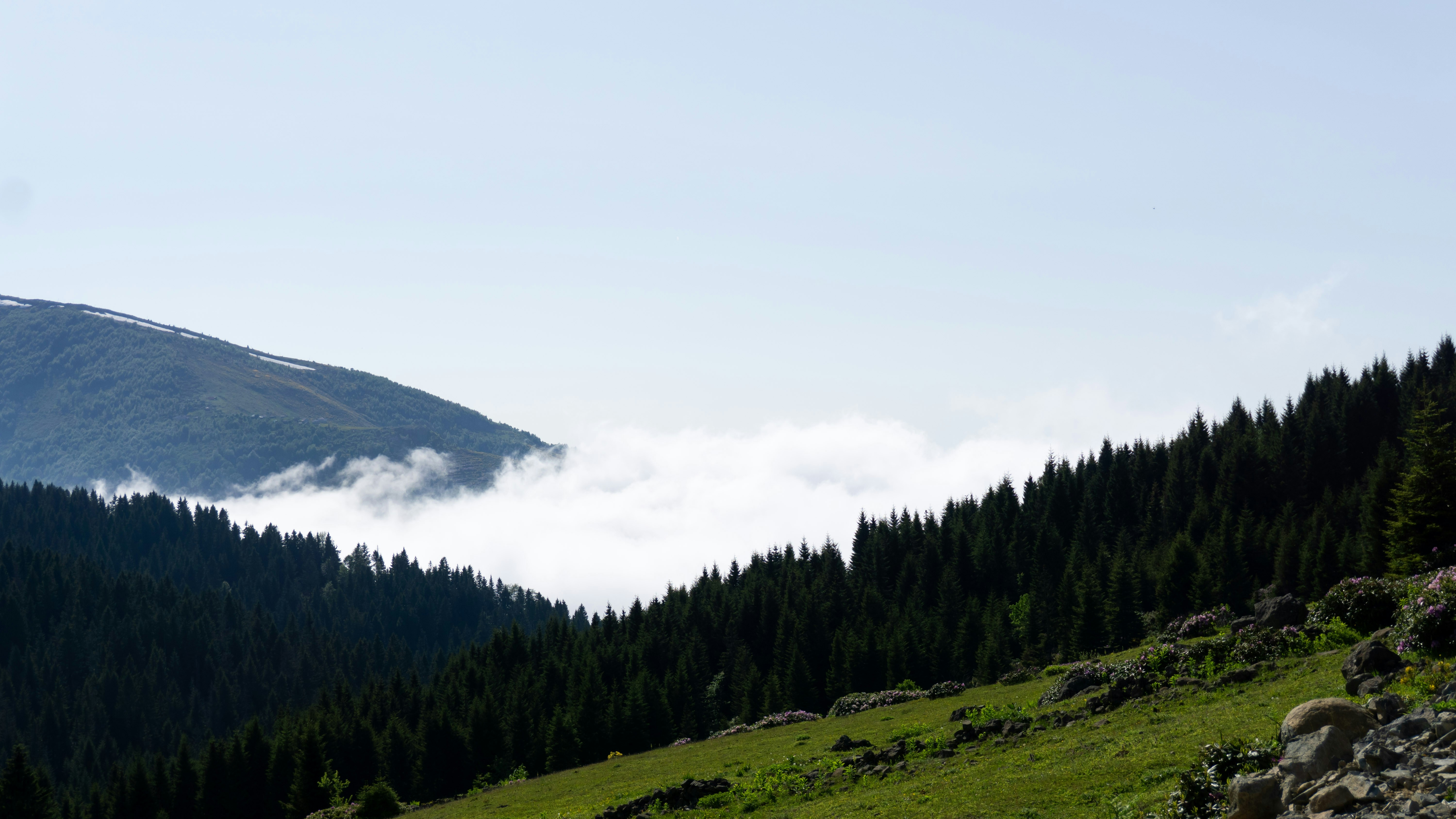 Photo by erdem_aydin