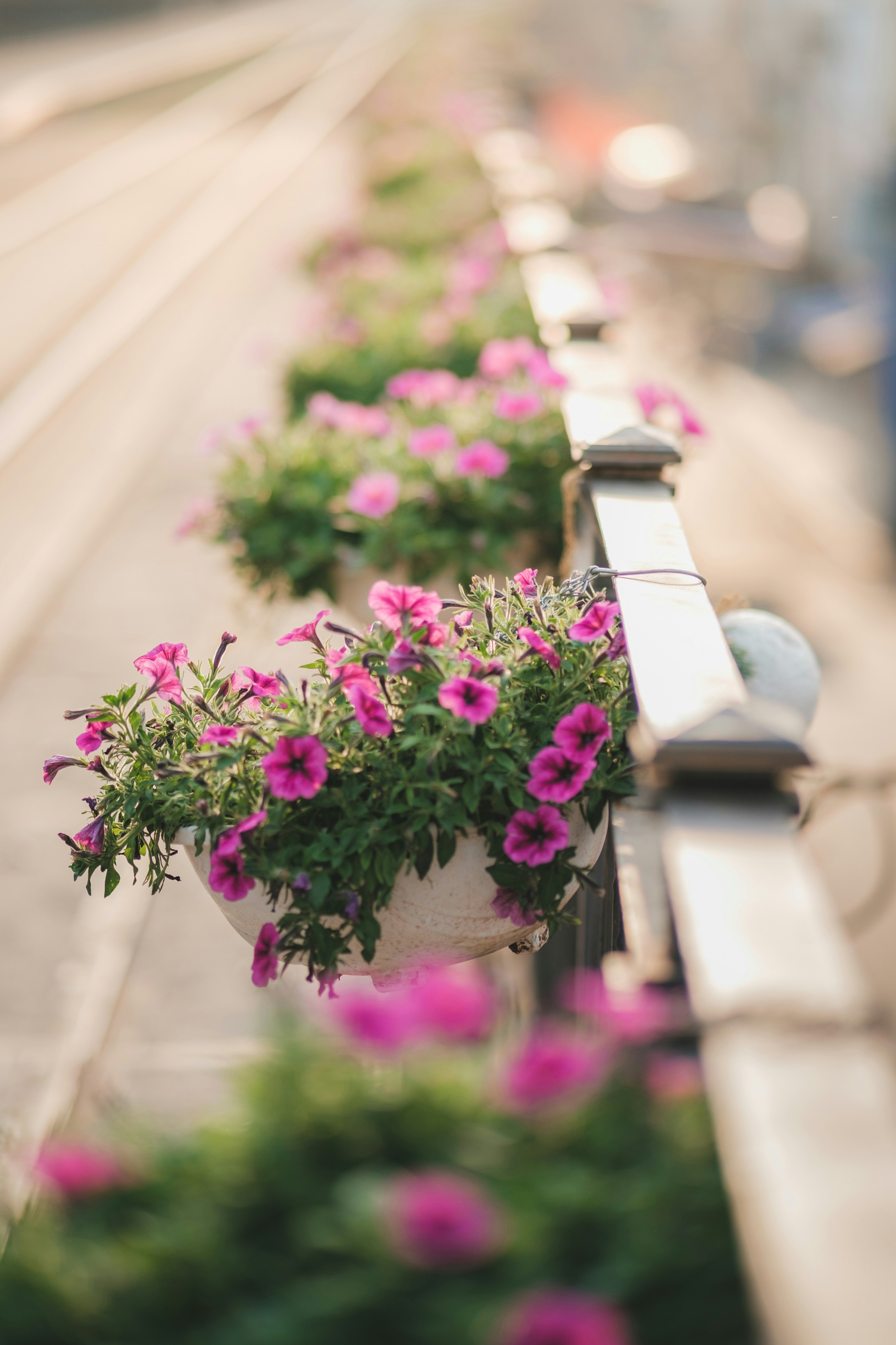 Planters idea 3