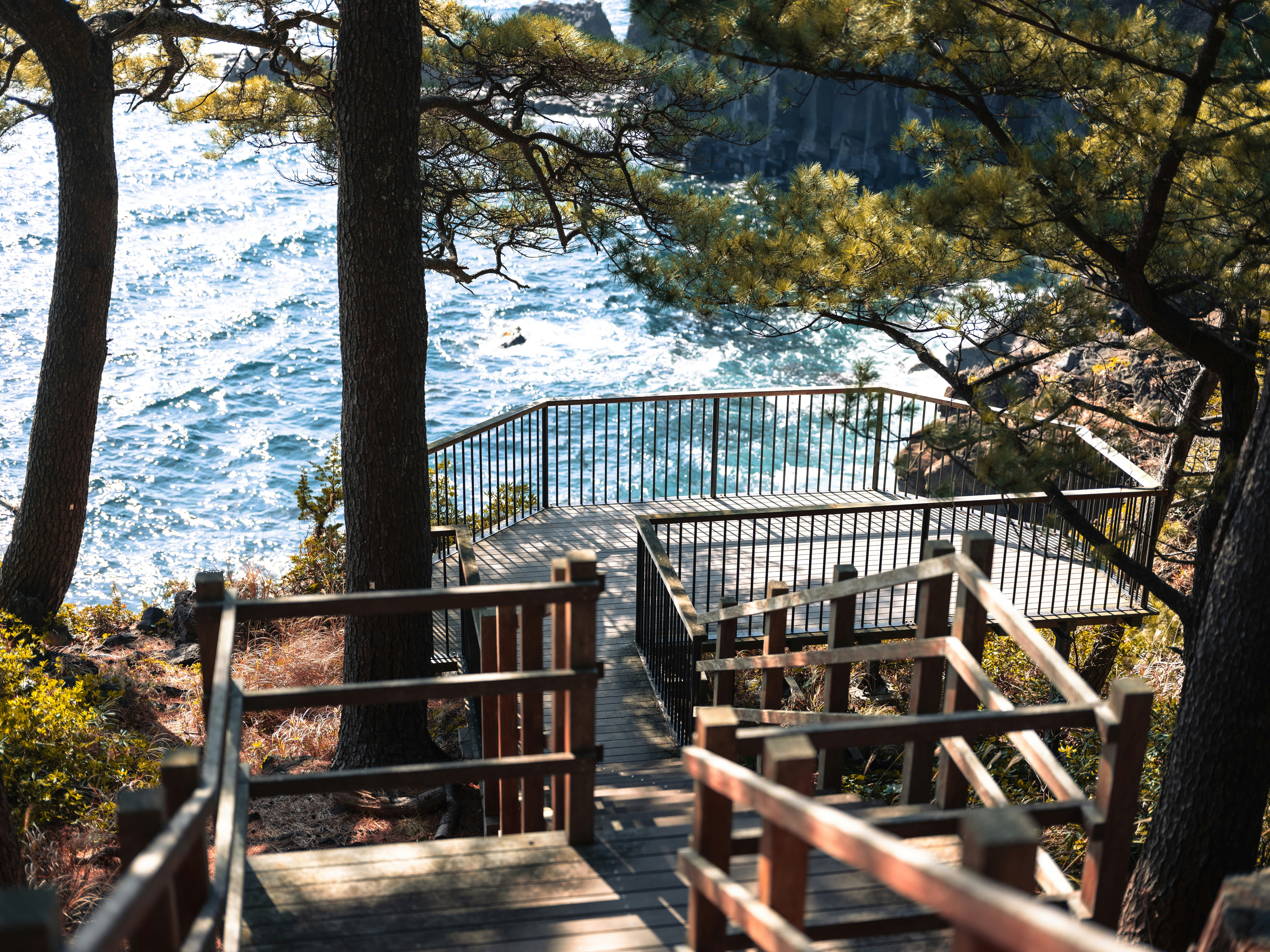 Wooden stairs leading down to the ocean