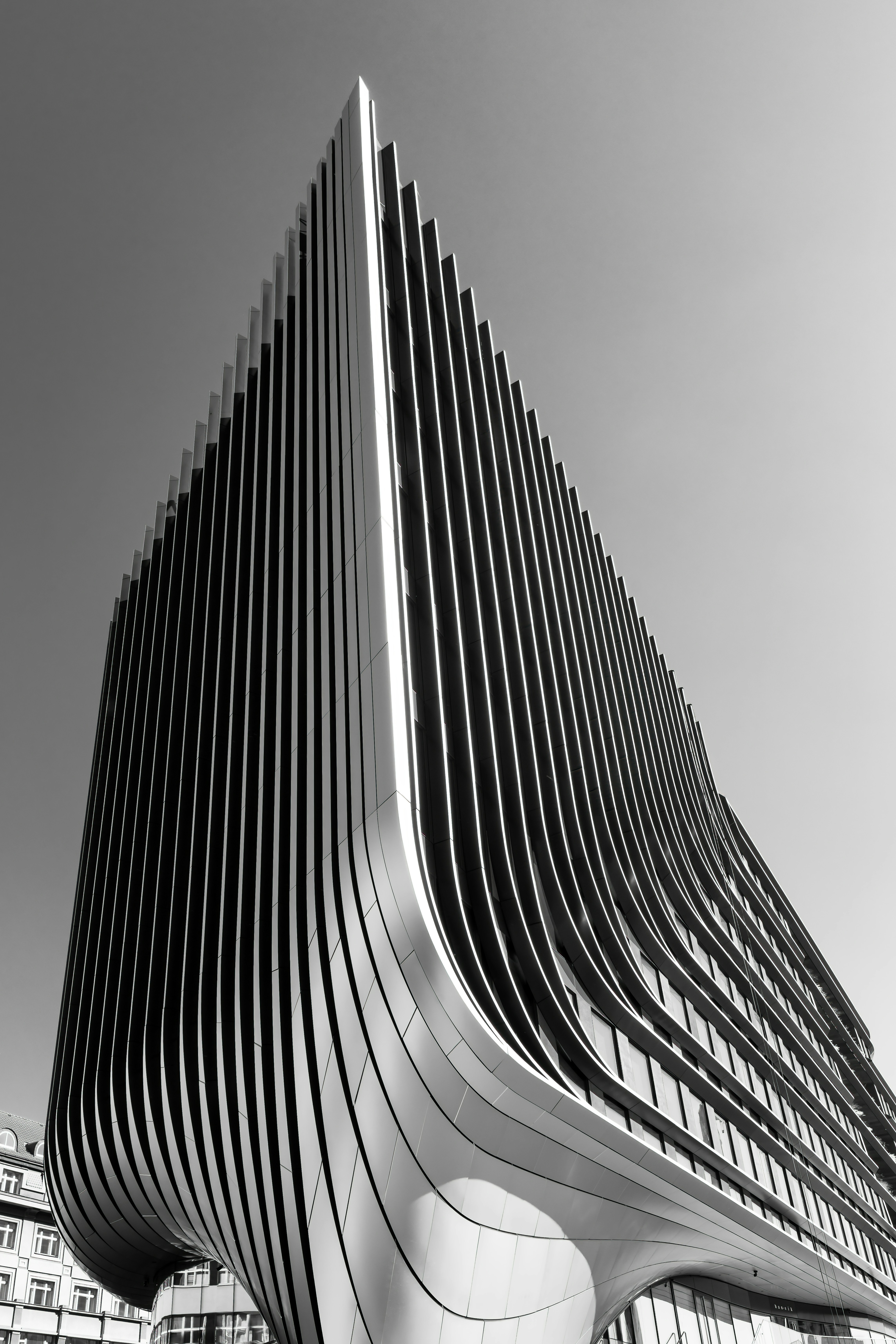 Photo by hamburgmeinefreundin