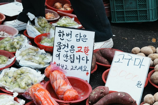 2. South Korea Pushes for Full-Stack “Physical AI” in Industry and Agriculture