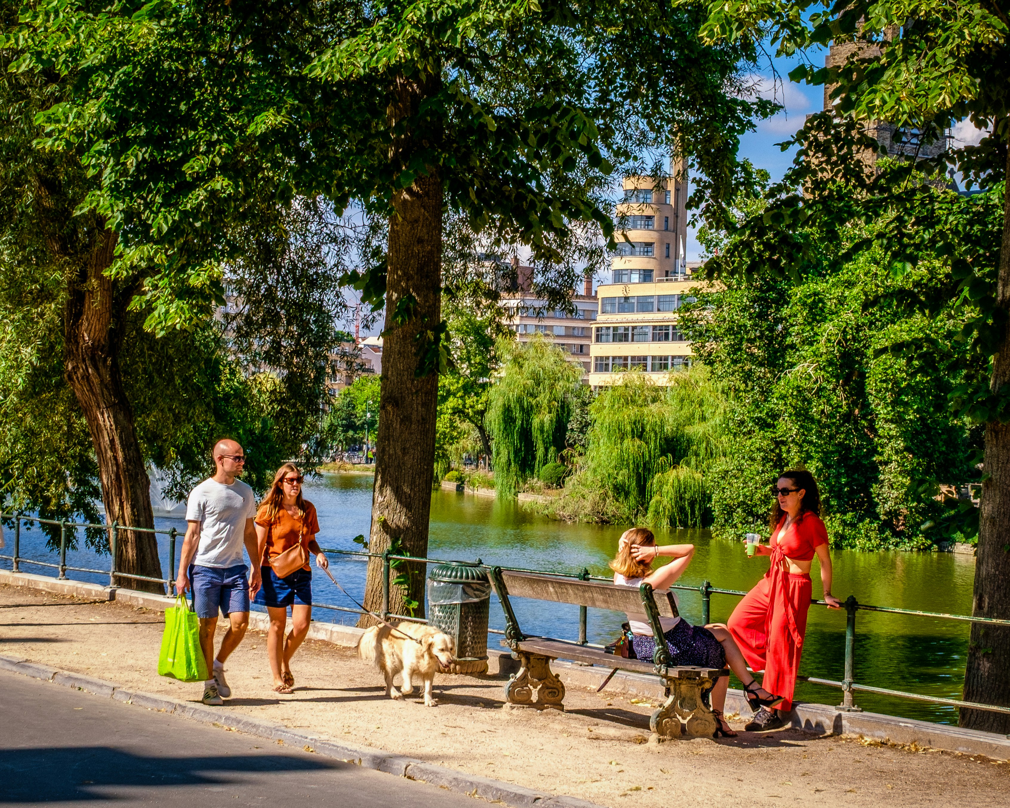 Dog enjoying a walk in a vibrant Chicago neighborhood - pet-friendly rentals in Chicago