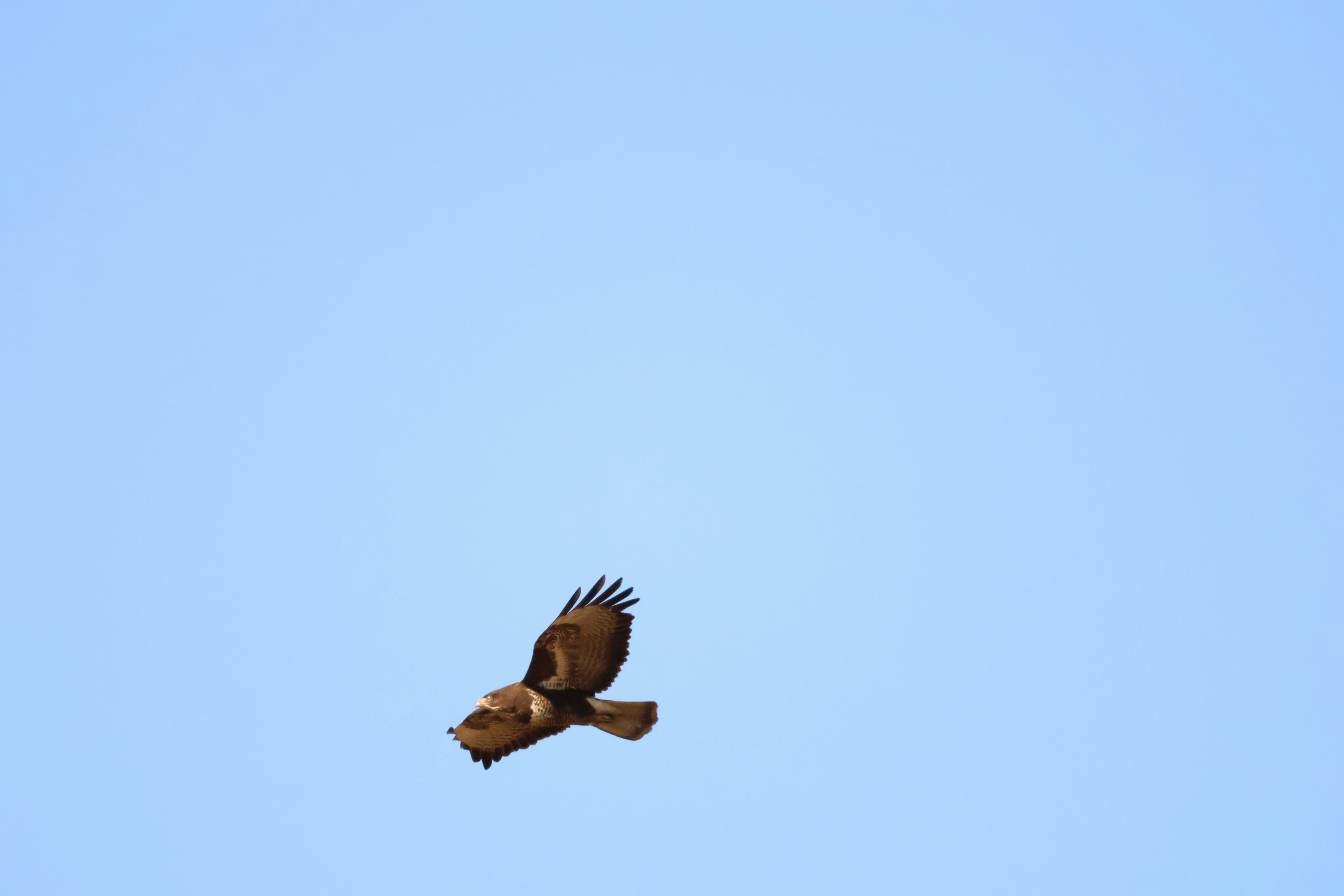 Photo by viktorfriesen