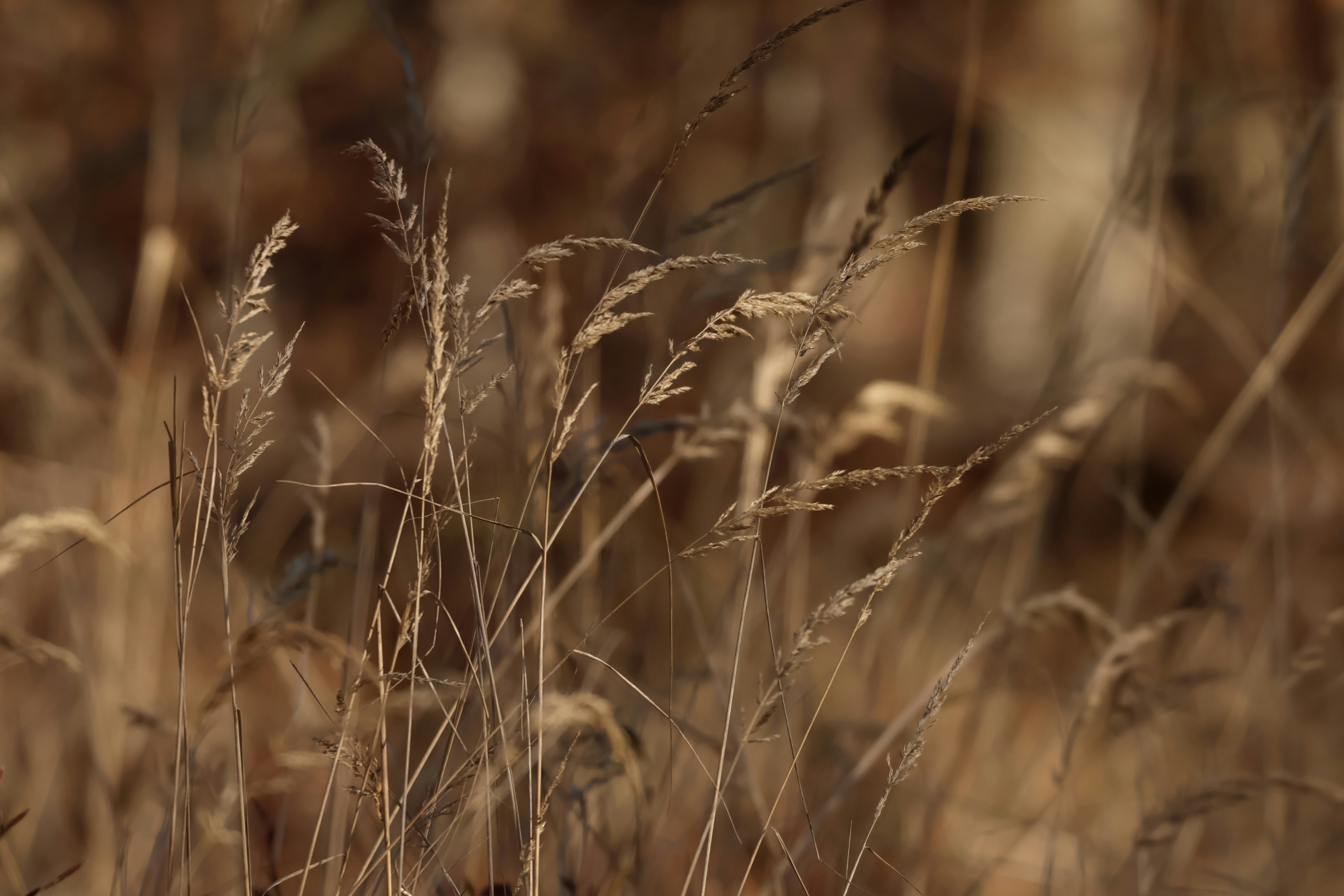 Photo by viktorfriesen