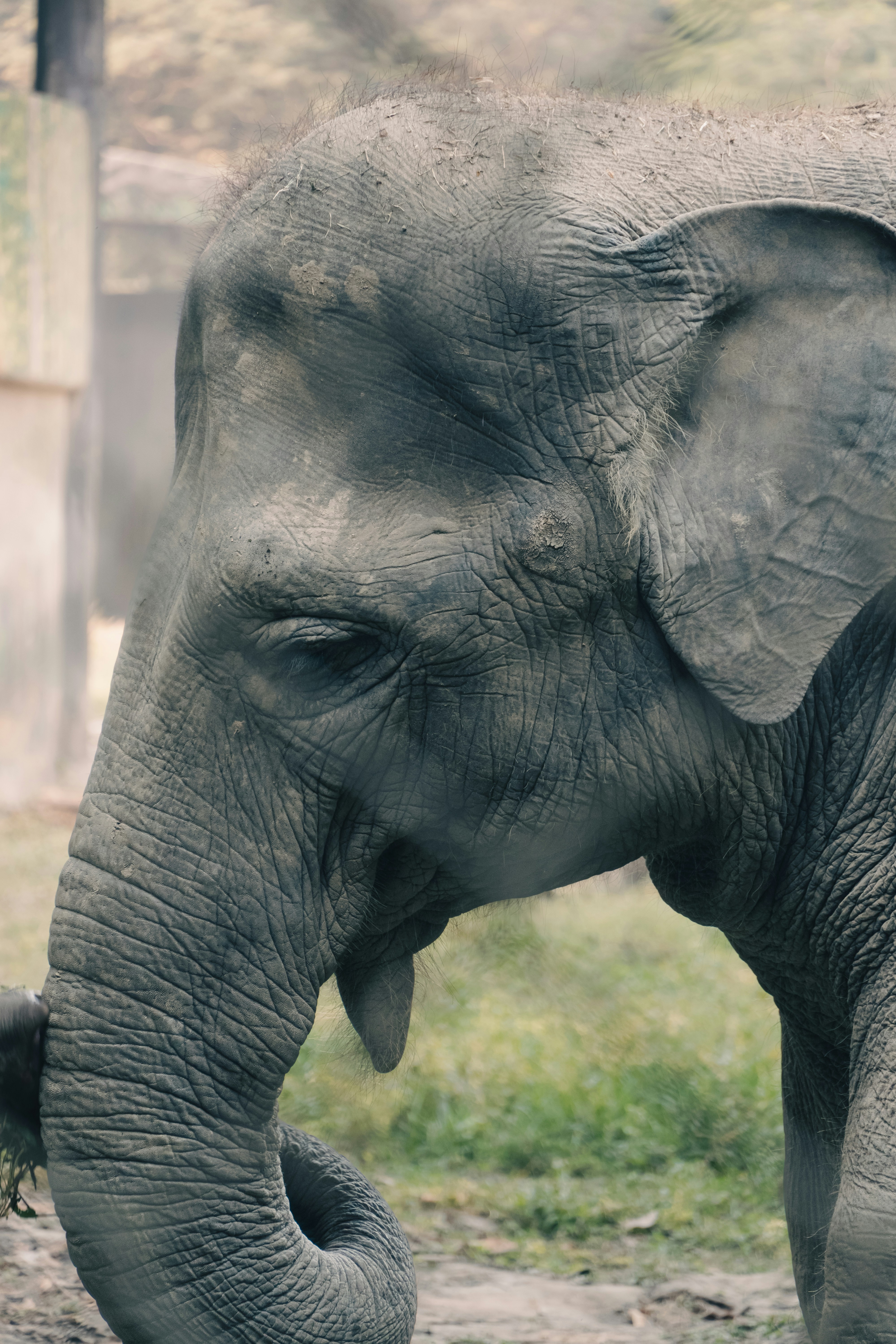 Photo by harshacrossindia