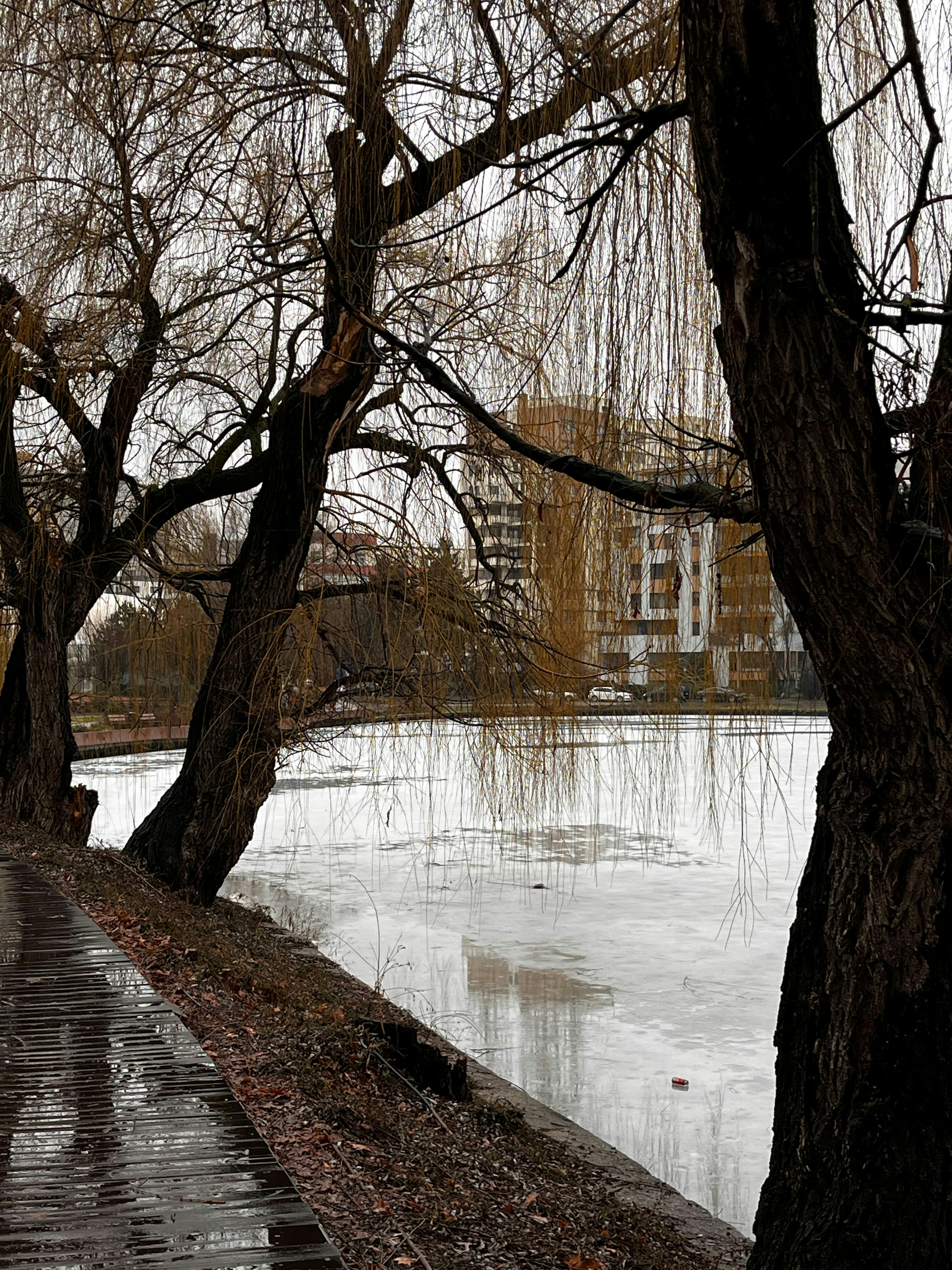 Photo by alldaybradley