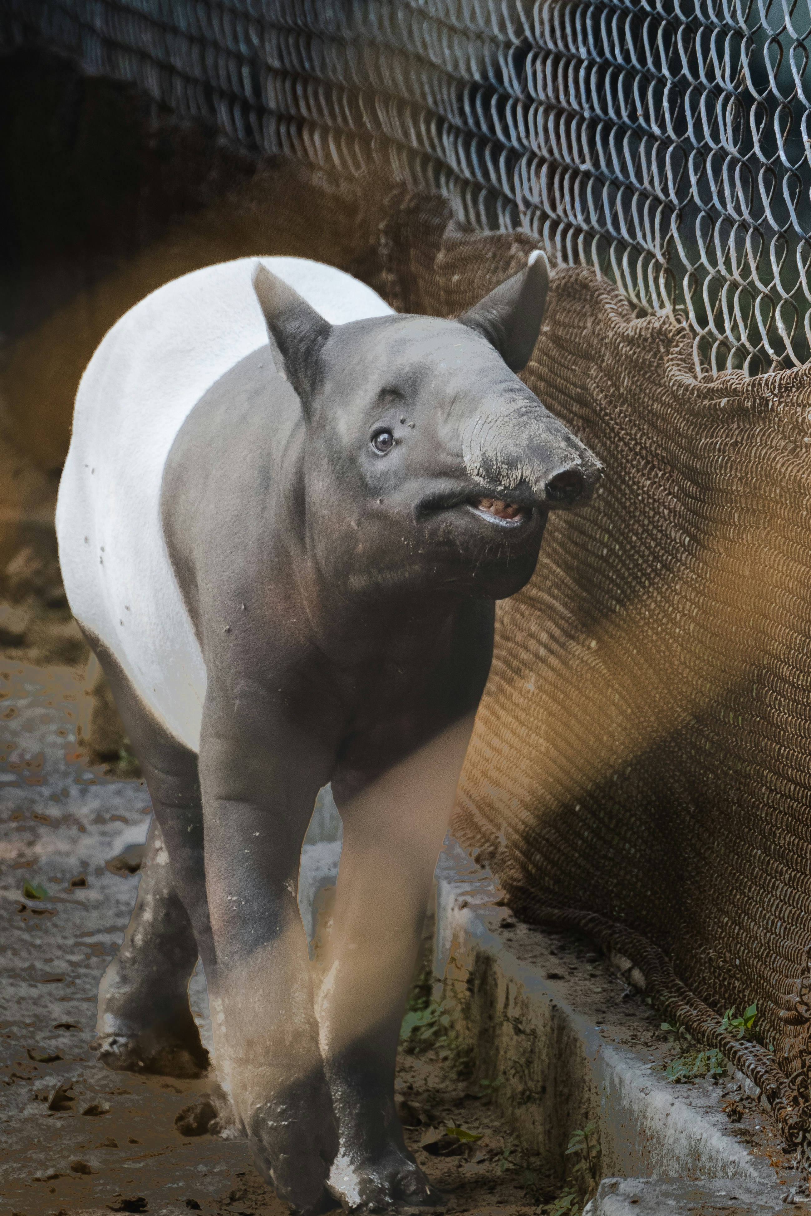 Photo by harshacrossindia