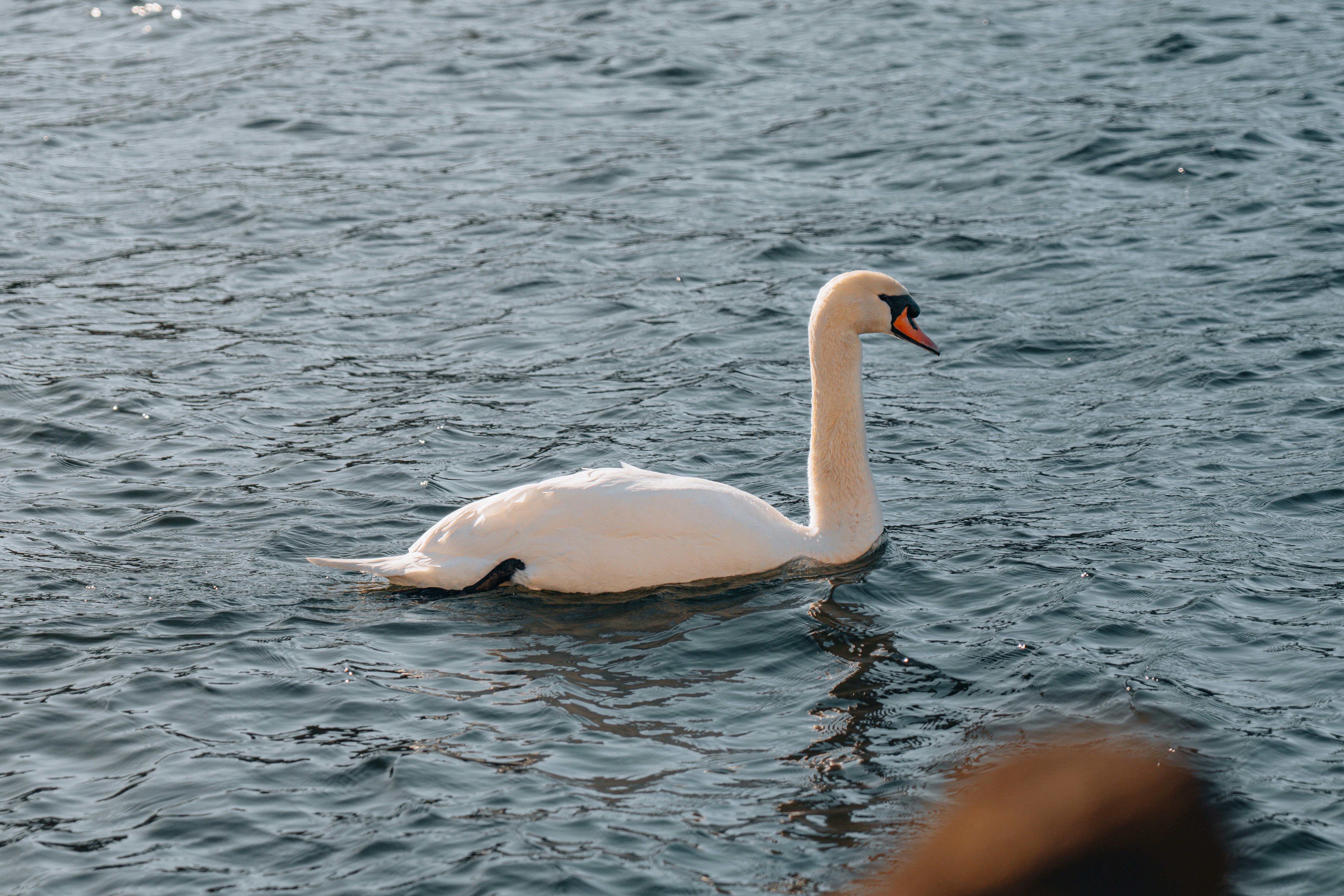 Photo by samuel_hagger