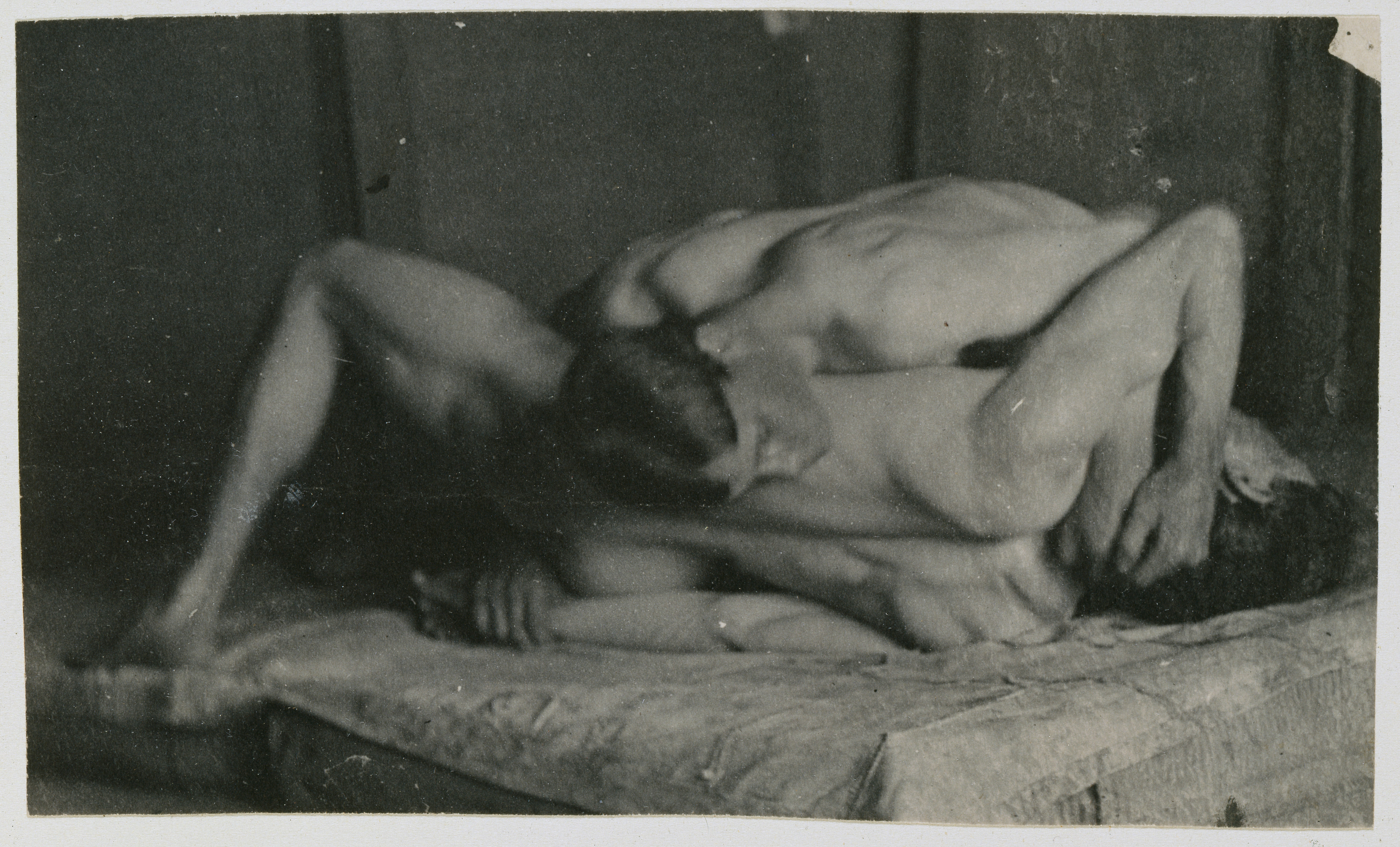 Photo by smithsonian