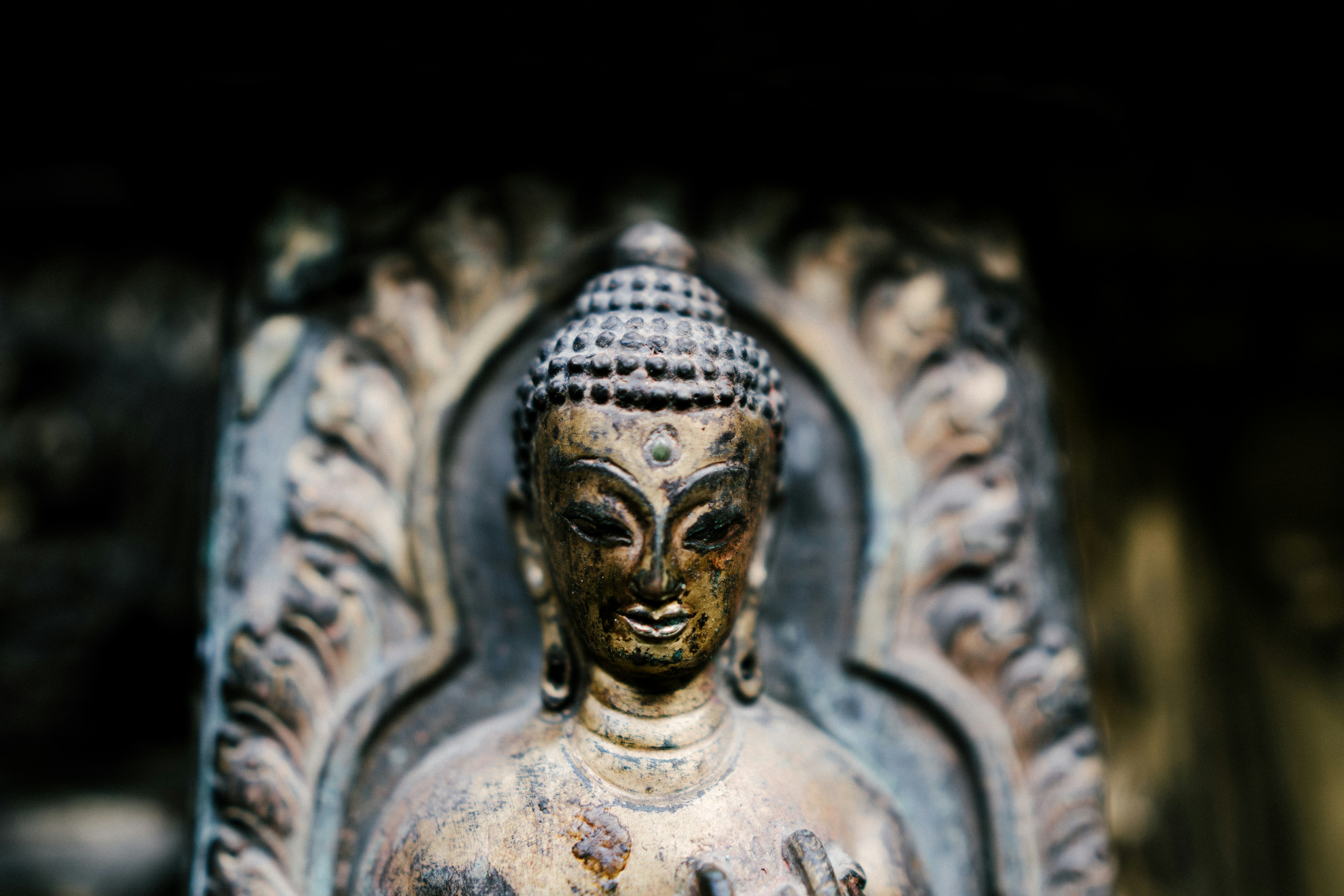 Photo by saagarshrest