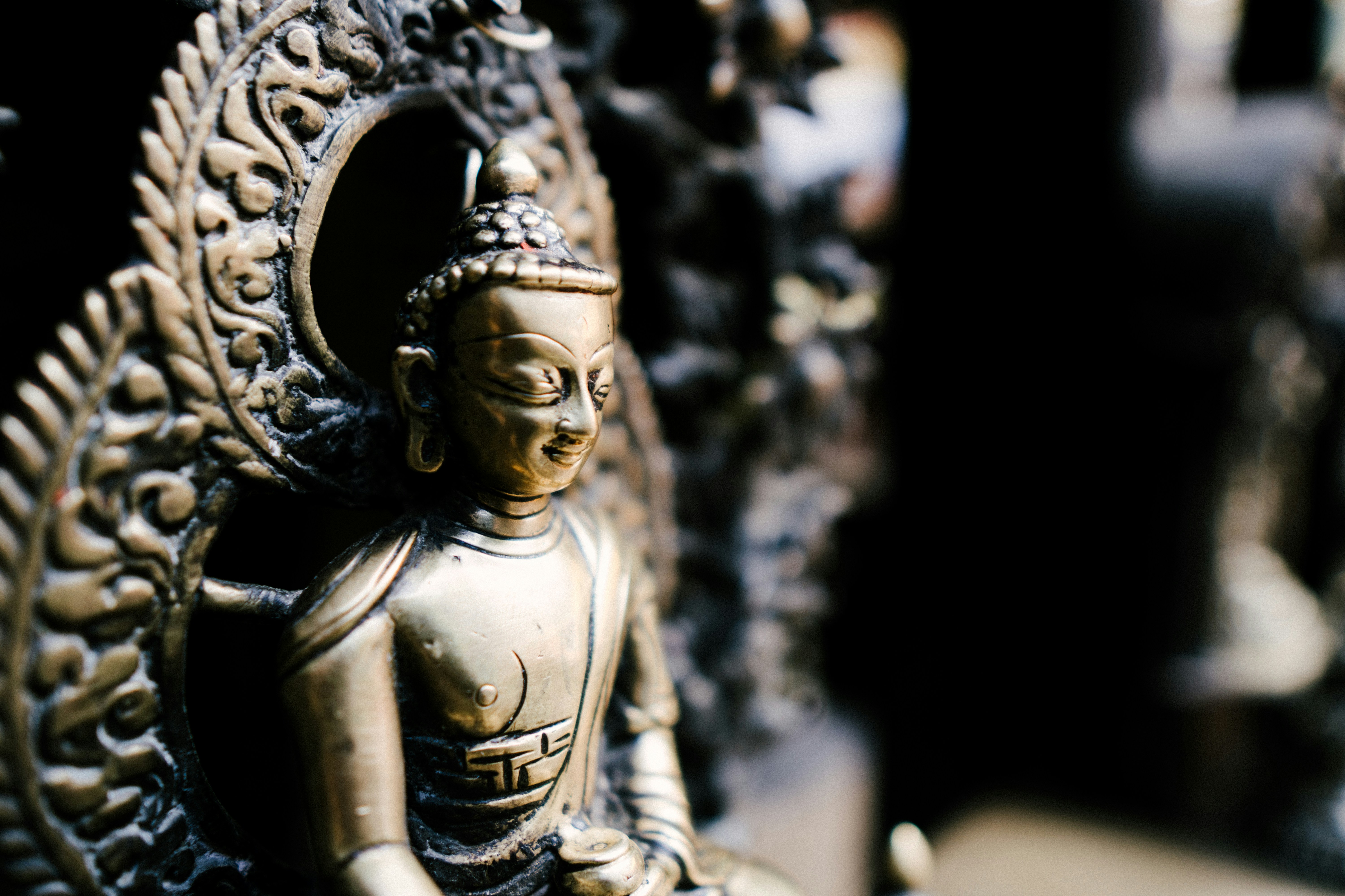 Photo by saagarshrest