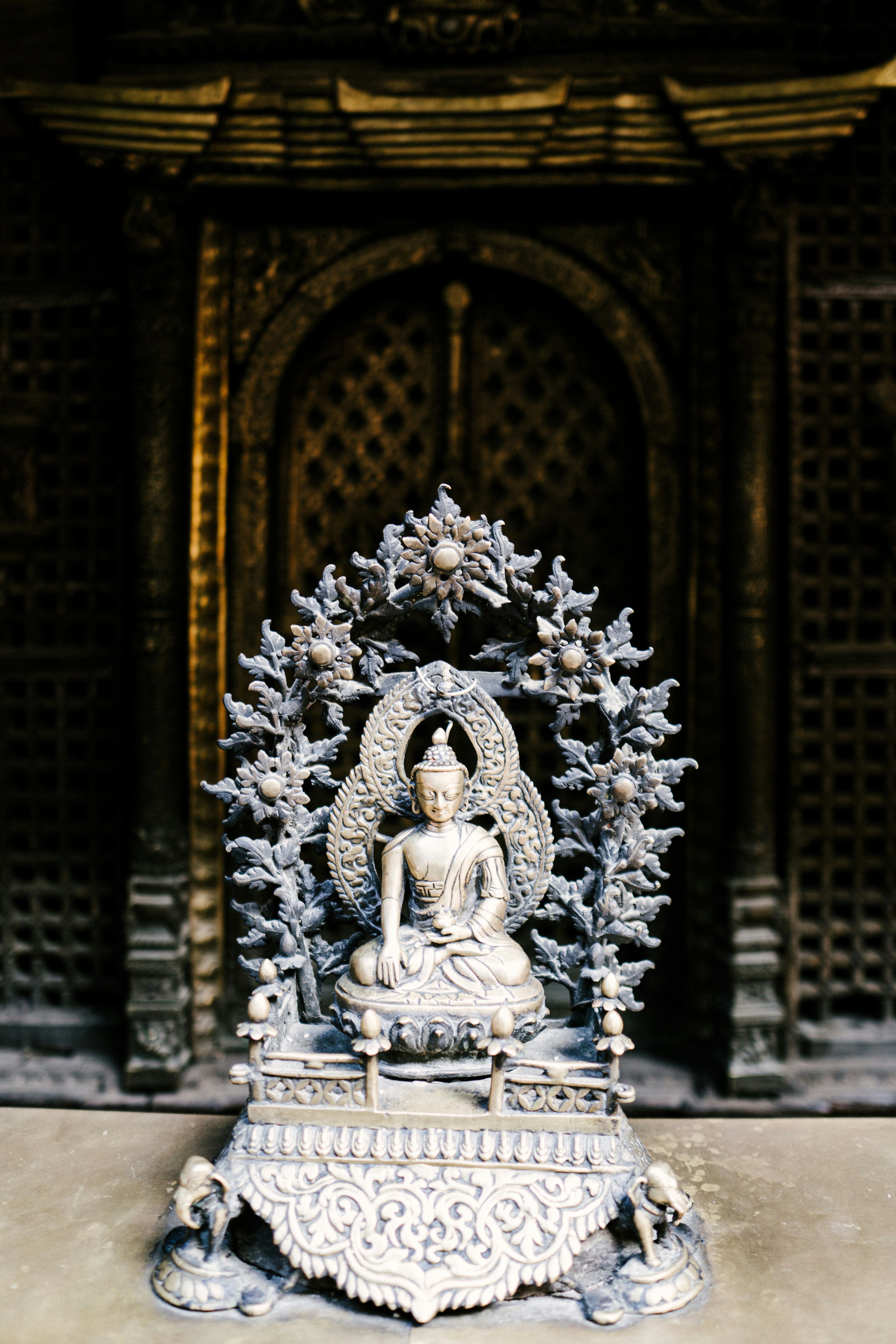 Photo by saagarshrest