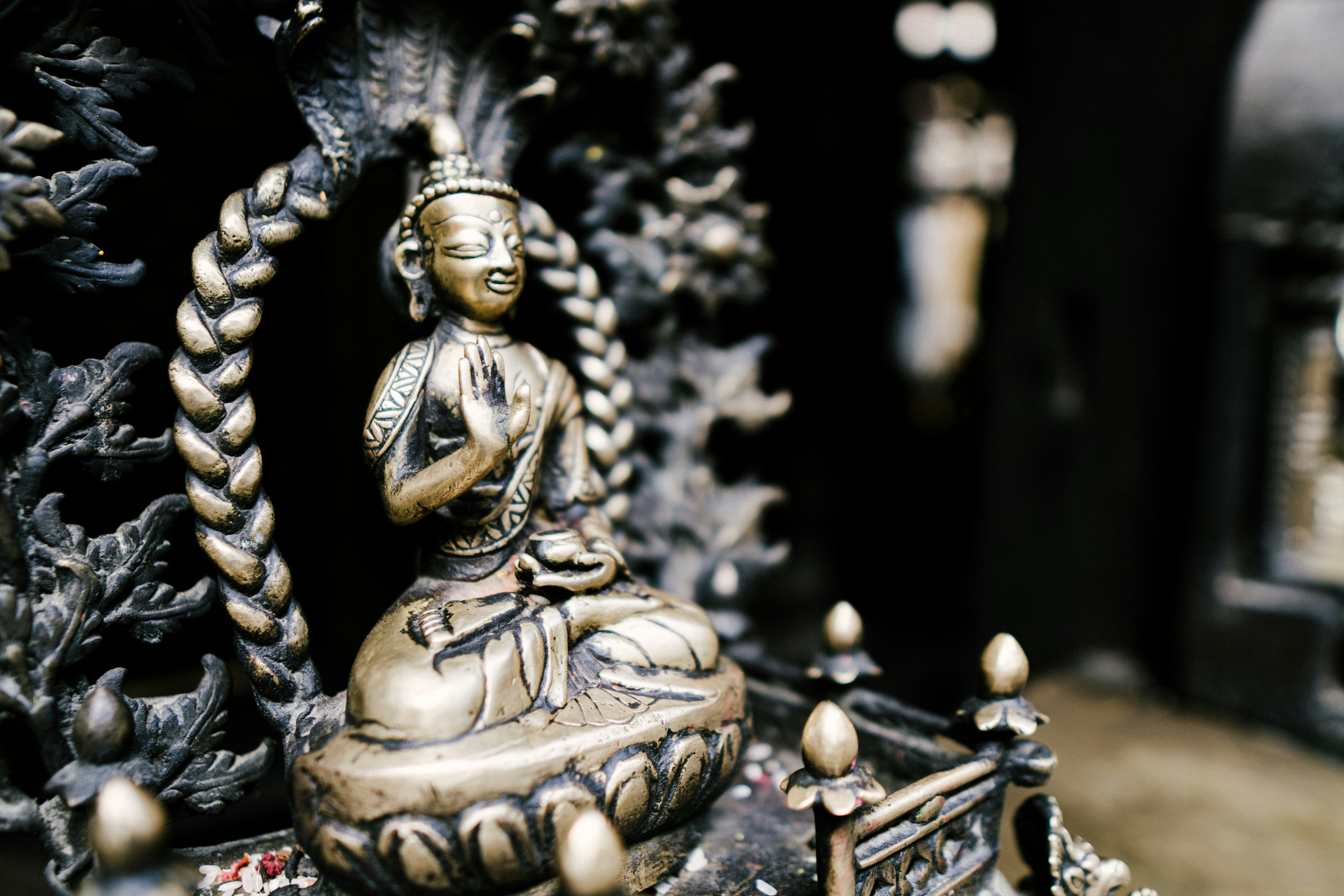 Photo by saagarshrest