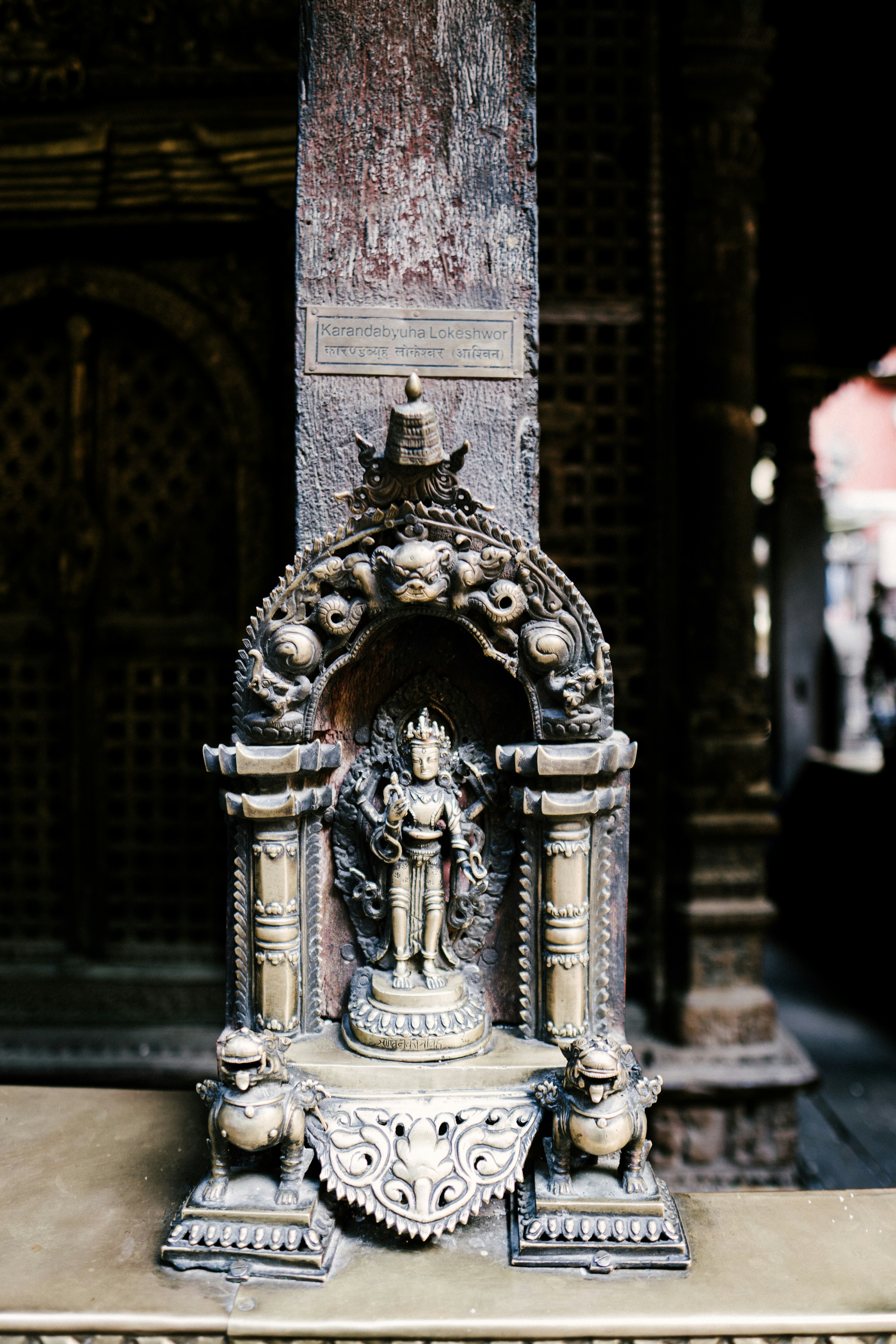 Photo by saagarshrest