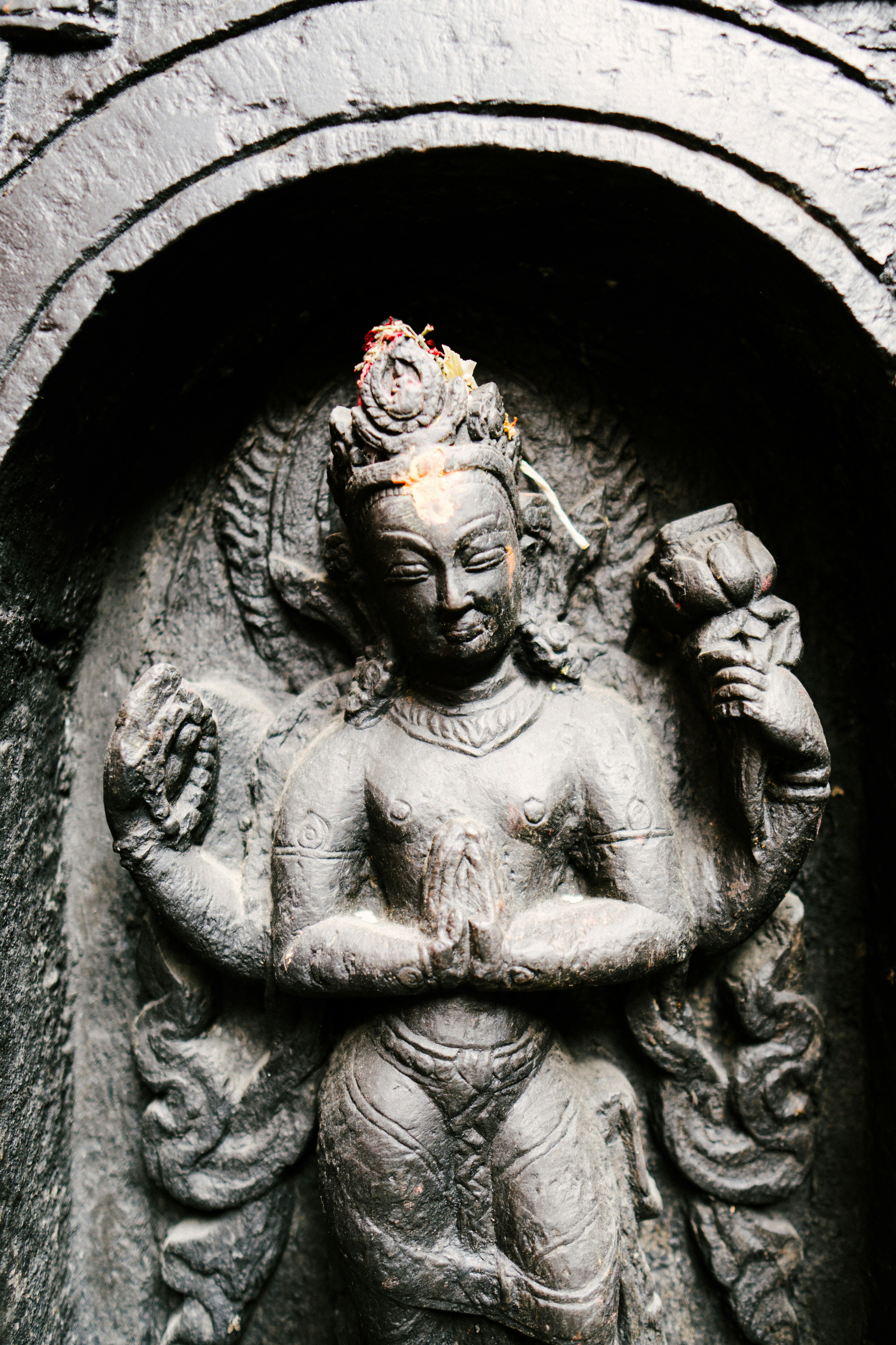 Photo by saagarshrest