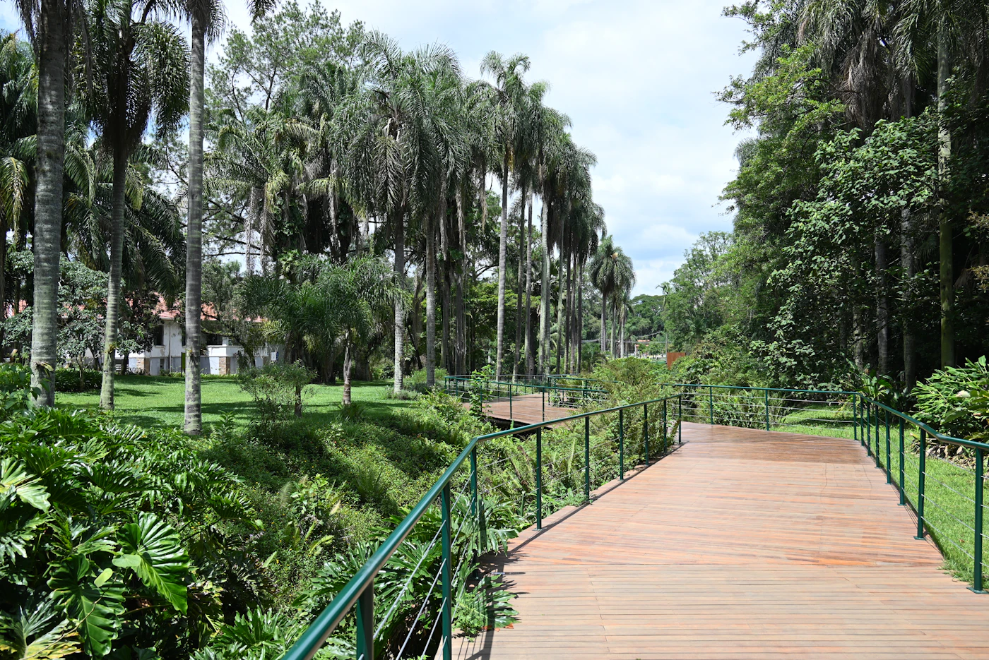 Shaded walkways and green space are a big part of daily life in and around Aventura.