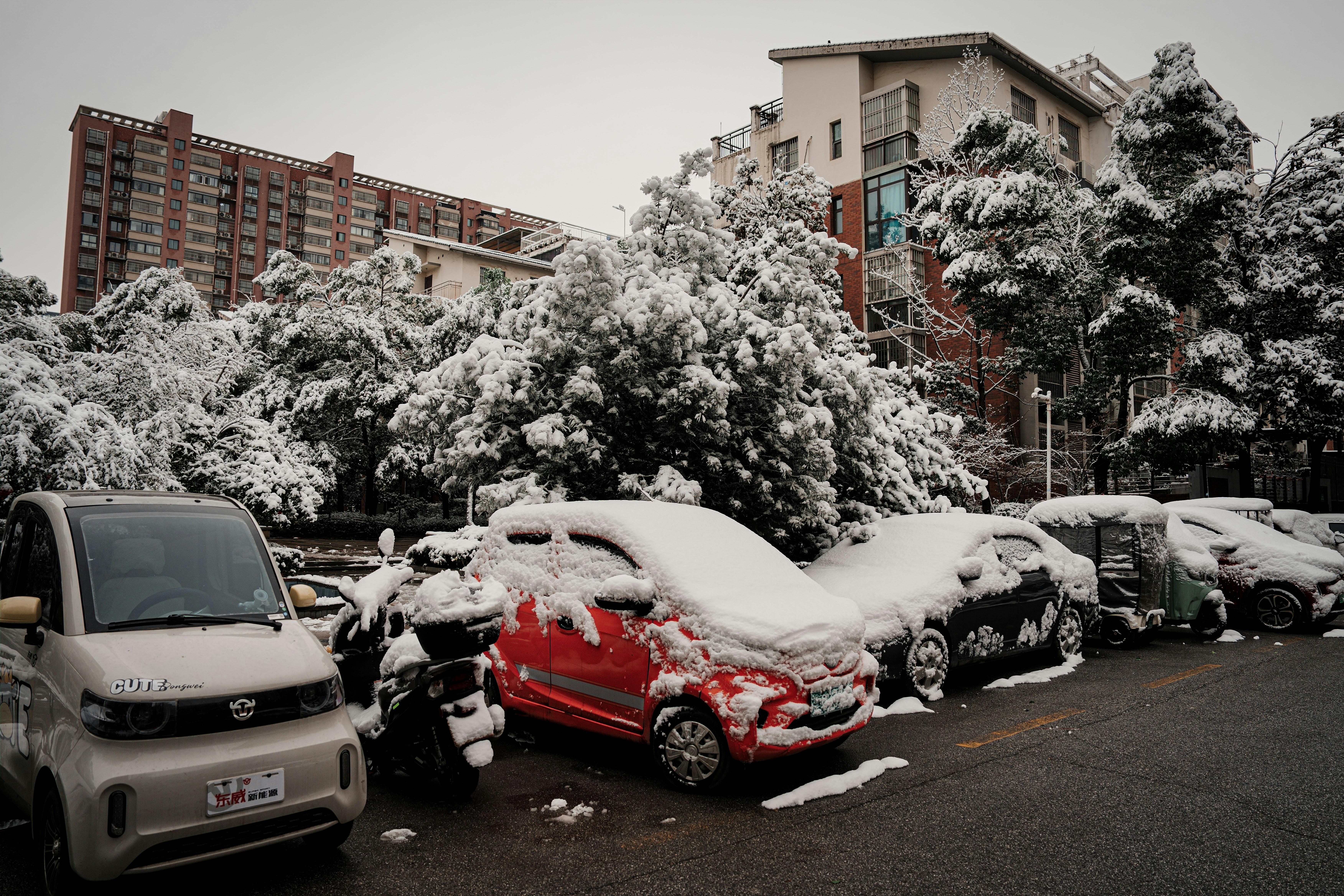 Cars parked under snow-covered trees and buildings.