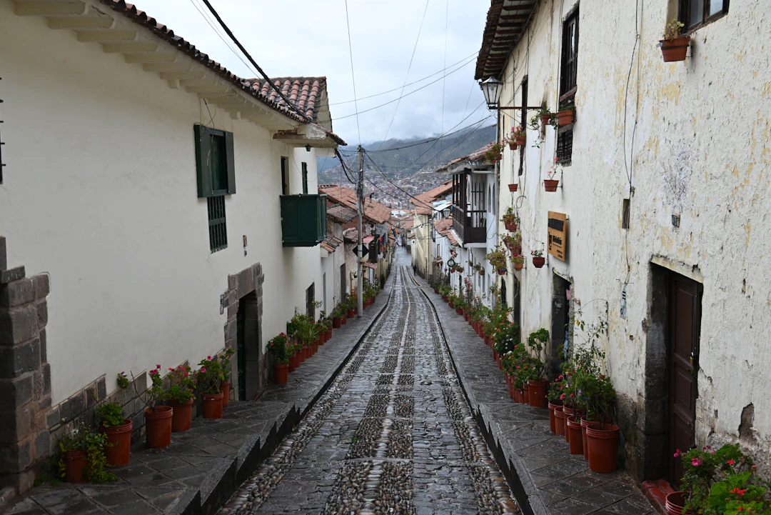 16-Day Ecuador Luxury Itinerary: Galapagos & Cloud Forest