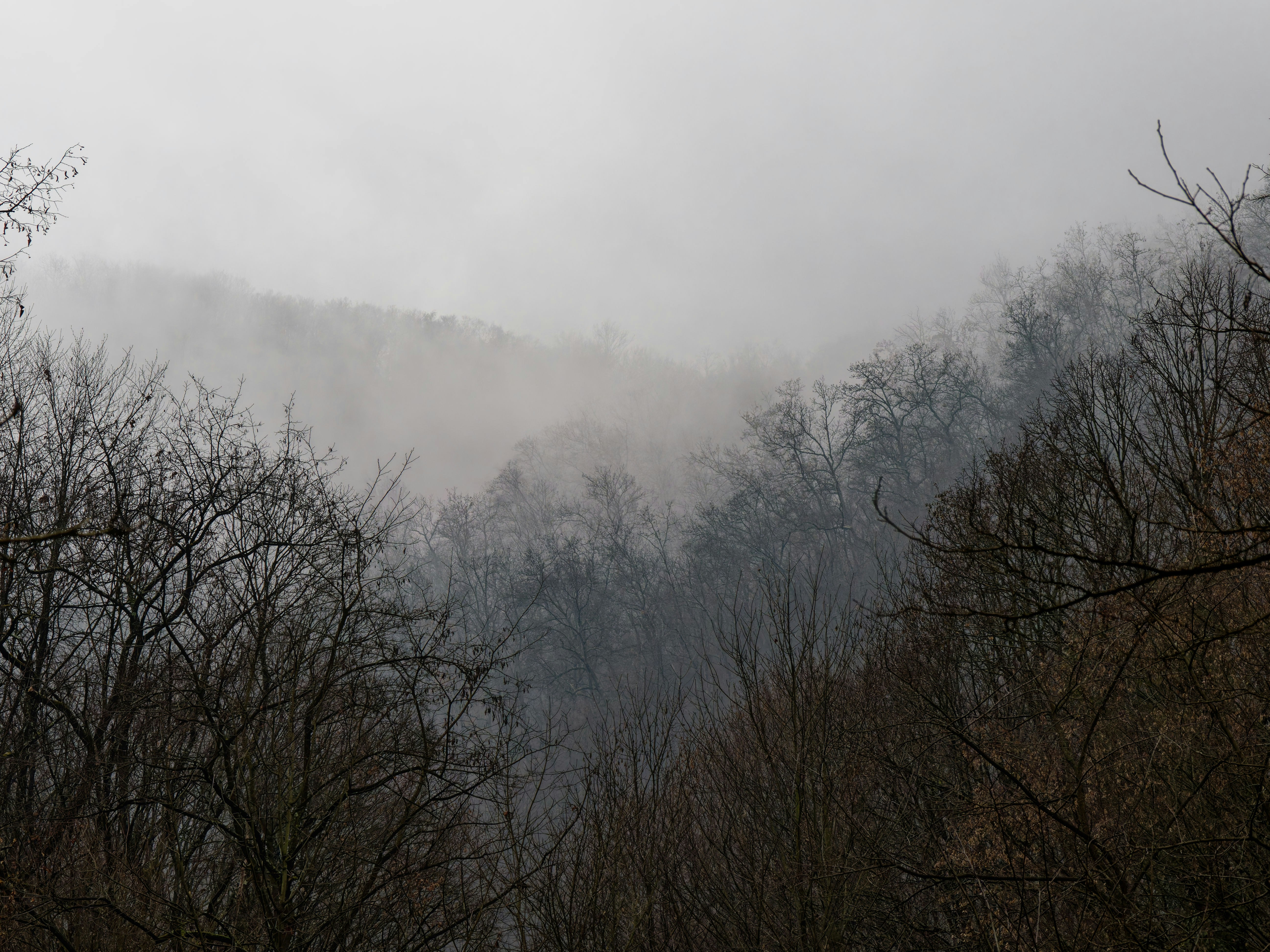 Photo by illes_cristi