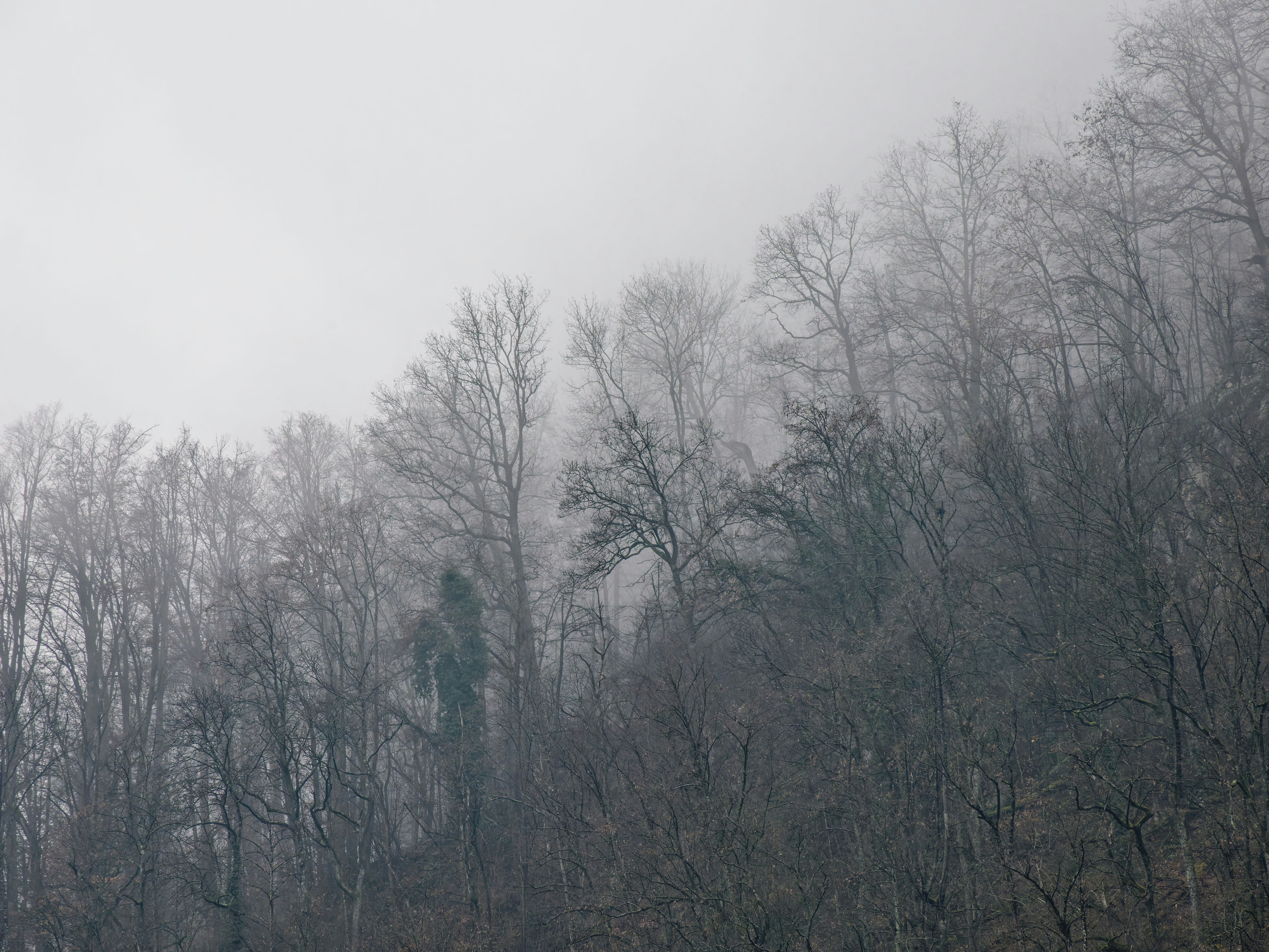 Photo by illes_cristi