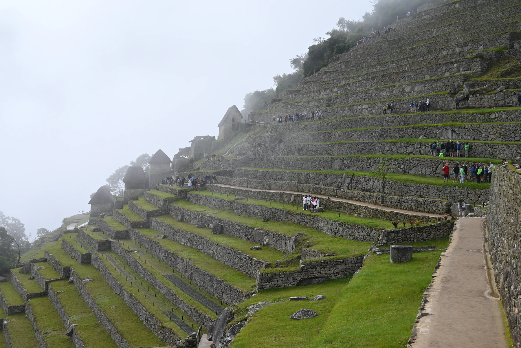 Ancient mountain ruins emerging through green mist