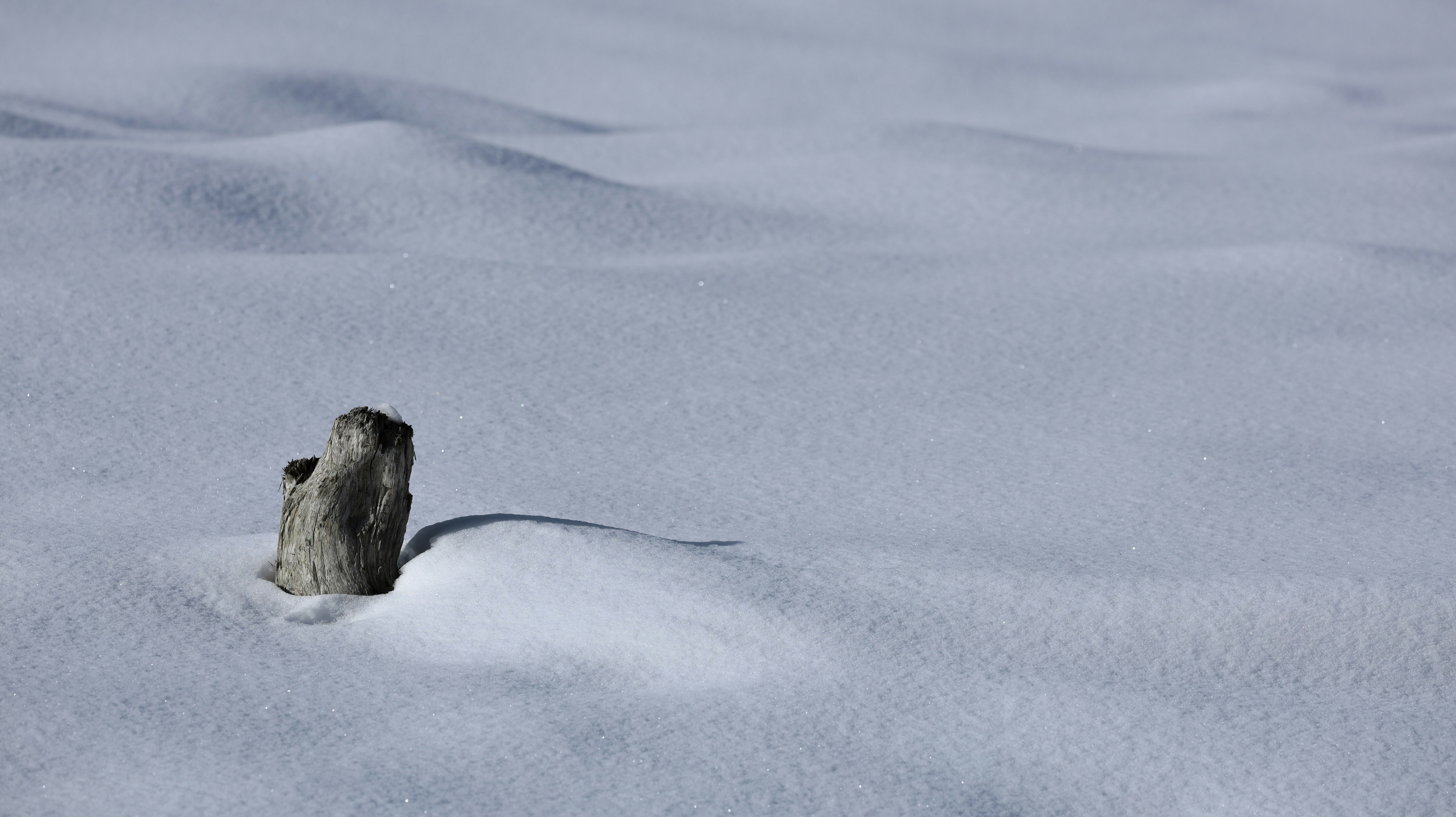 Photo by valomukitse