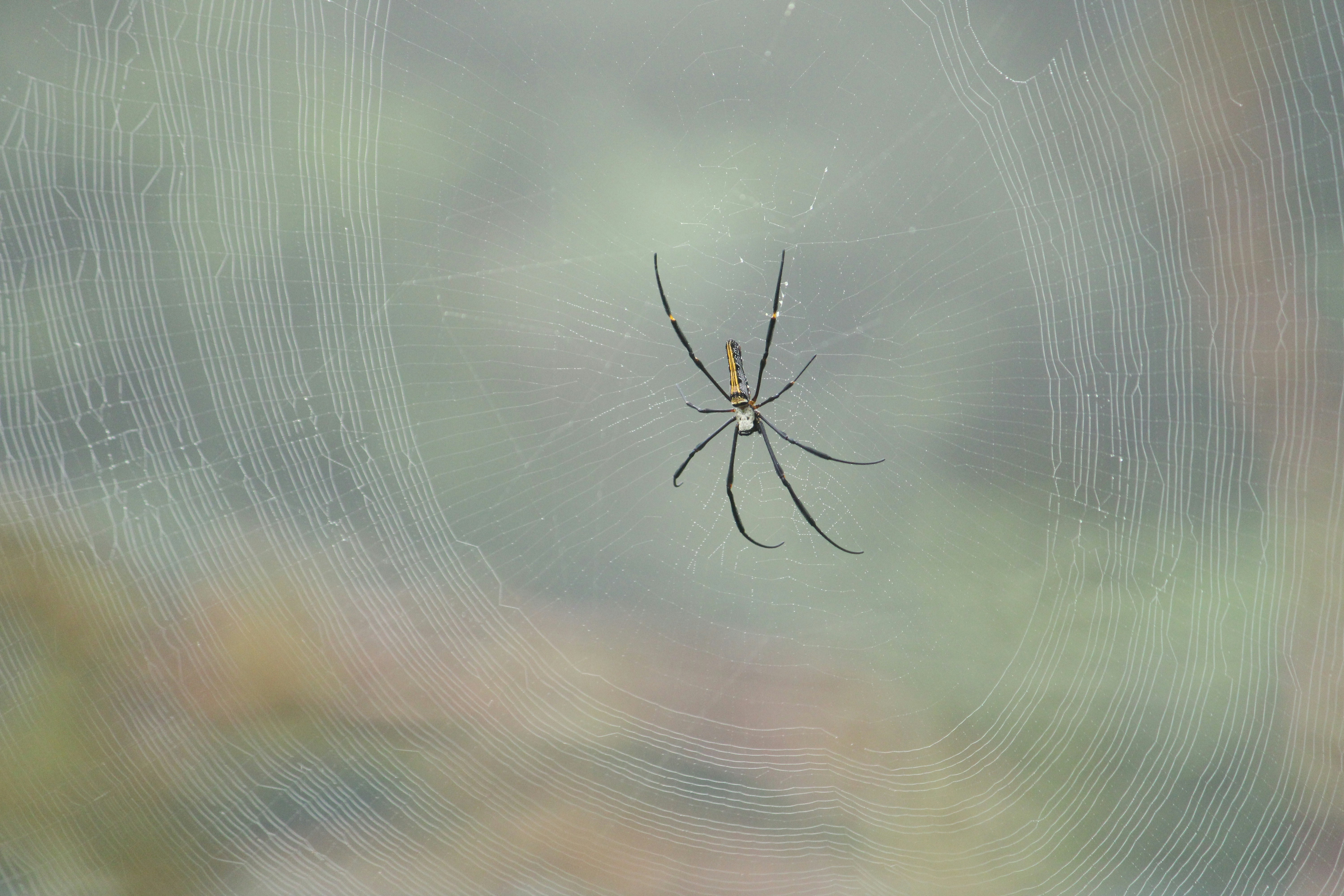 Photo by indianhobbyphotographer