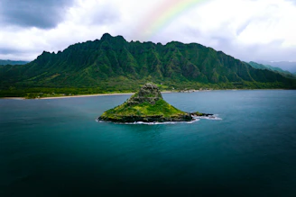 Green island with a rainbow over a calm ocean.
