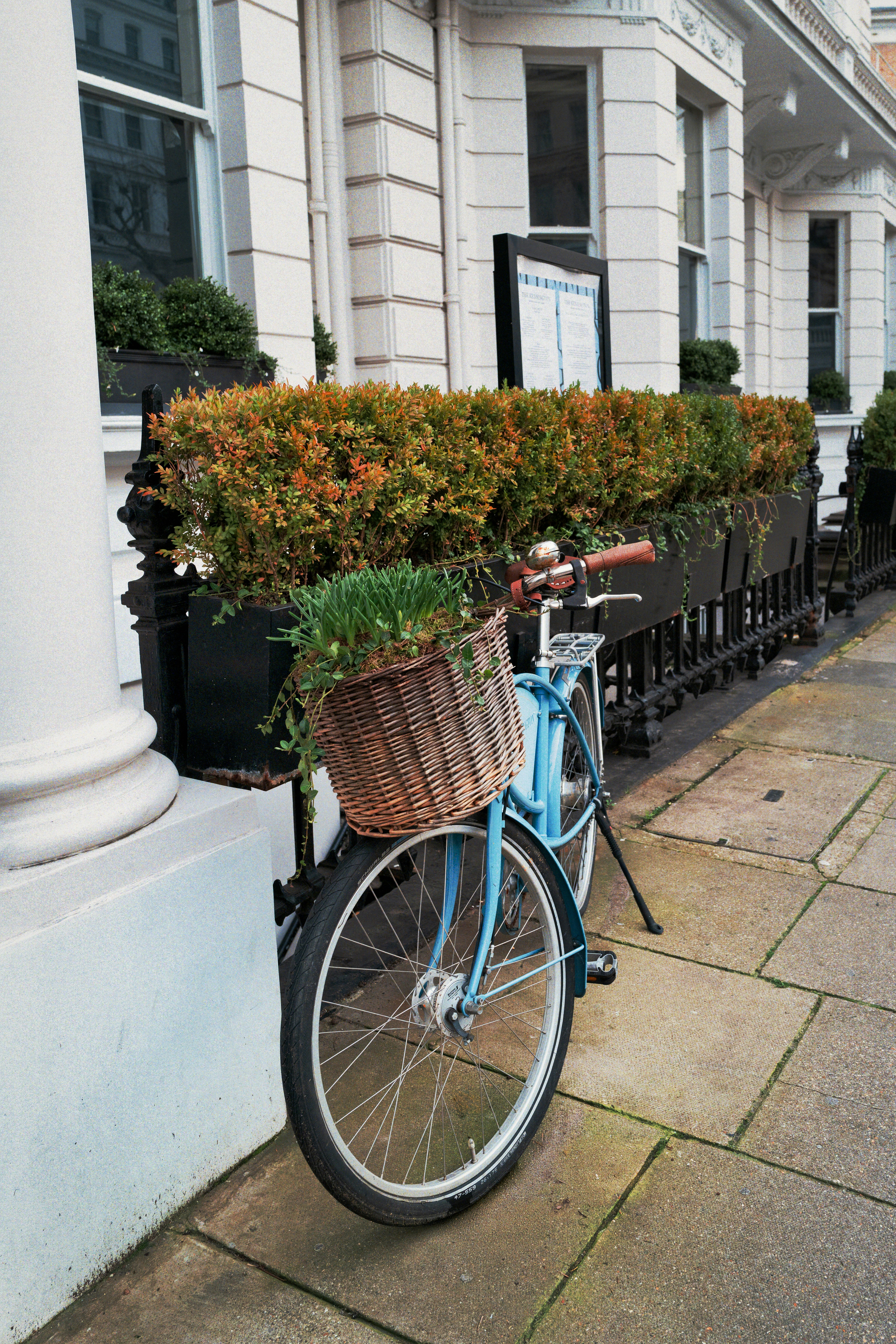Un vélo bleu clair avec un panier de plantes.
