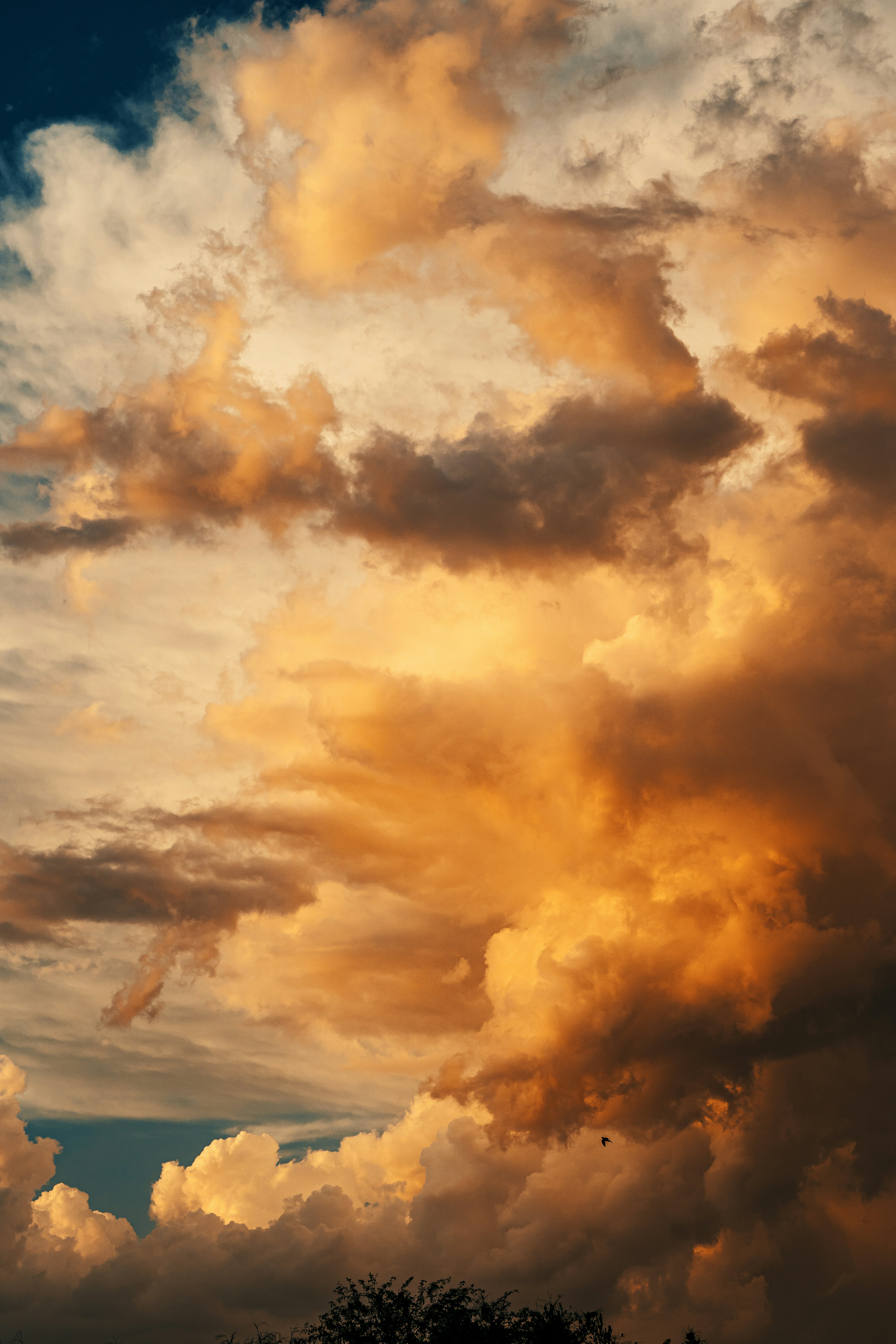 Des nuages dorés spectaculaires emplissent le ciel au coucher du soleil.