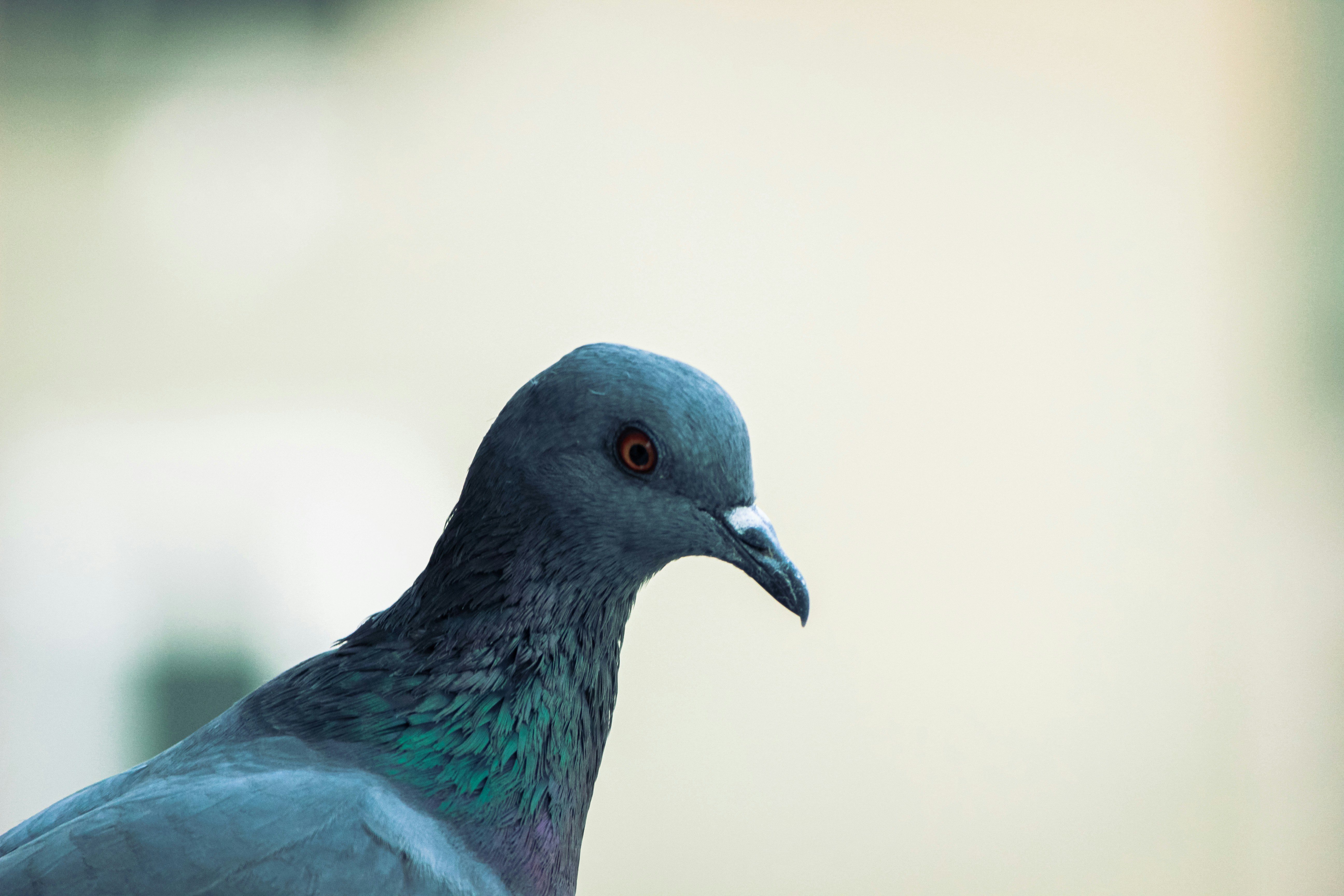 Photo by sukarna_roll