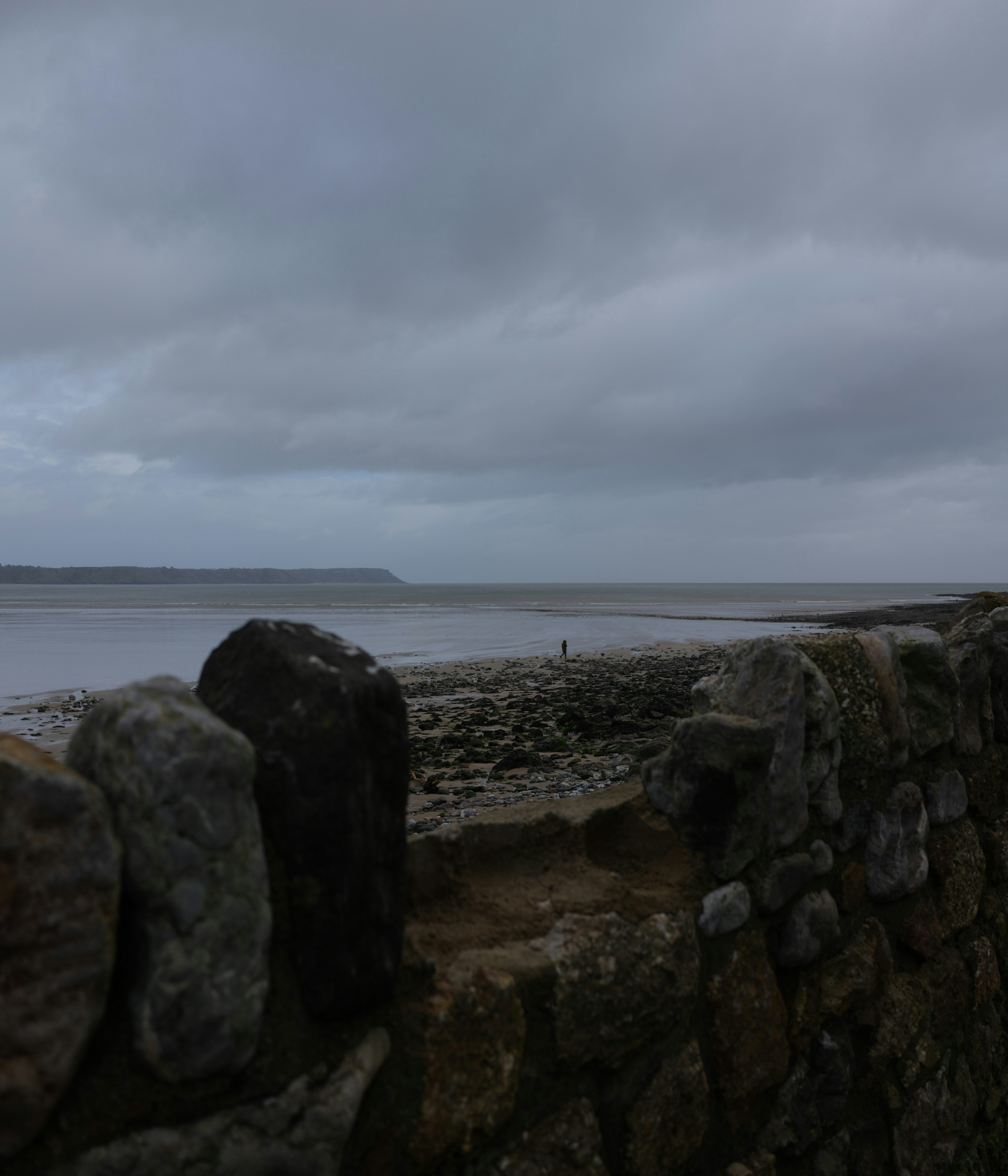 Photo by tanyabarrow